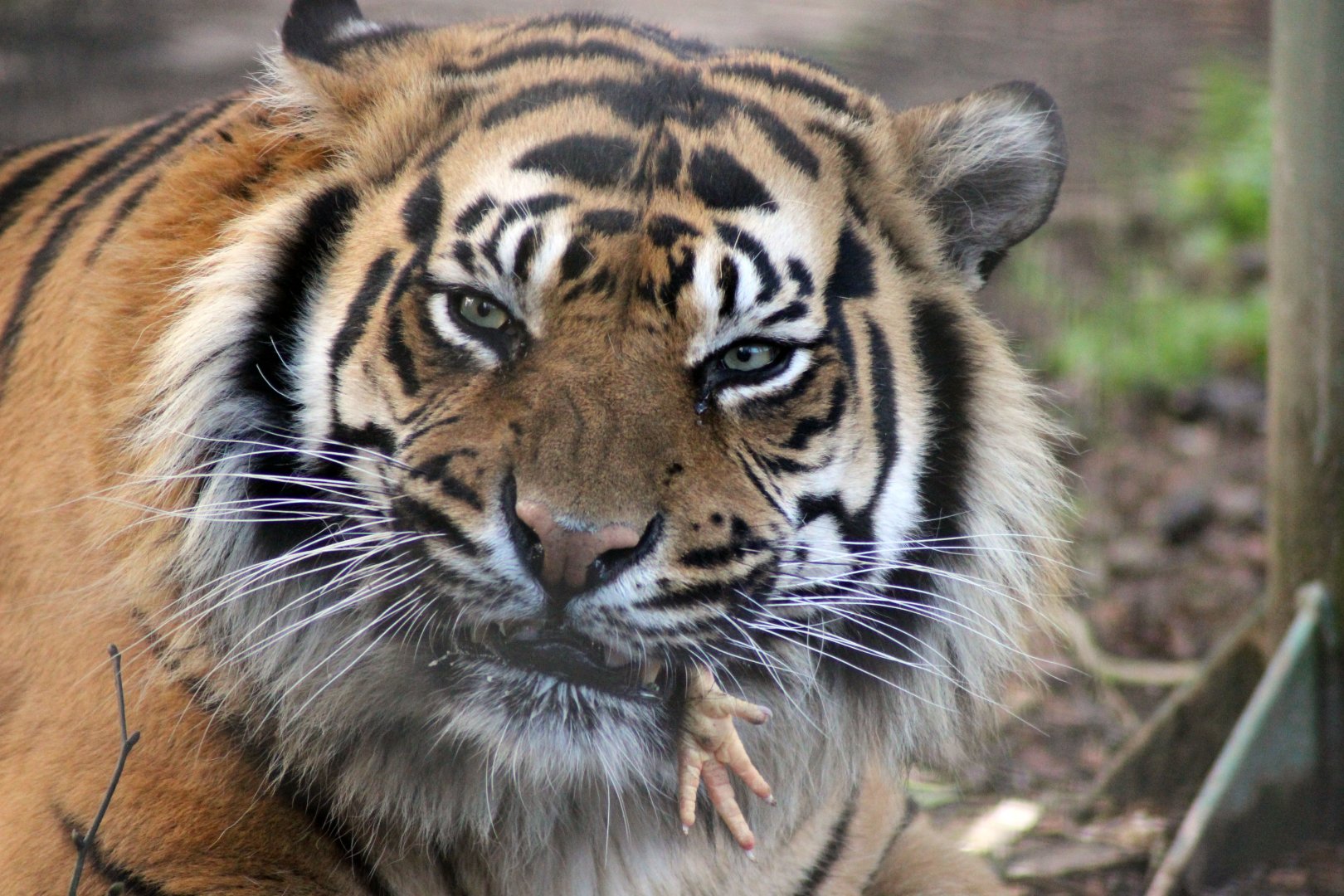 Guess thats what you call putting your foot in it