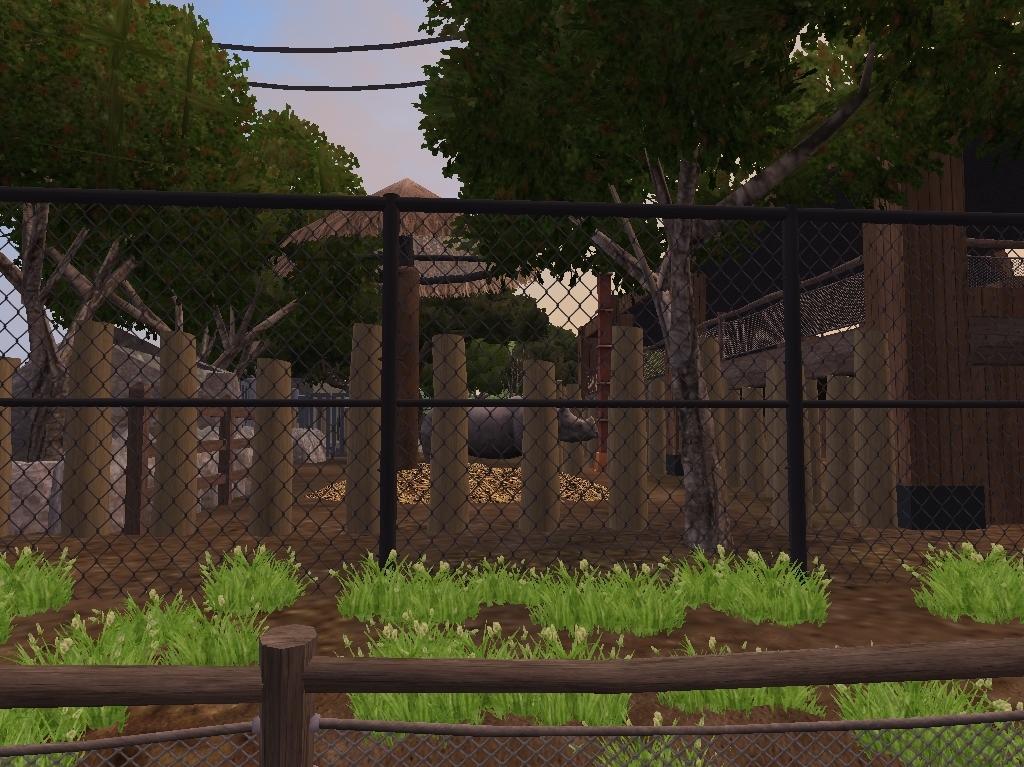 Guess This Rhino Exhibit