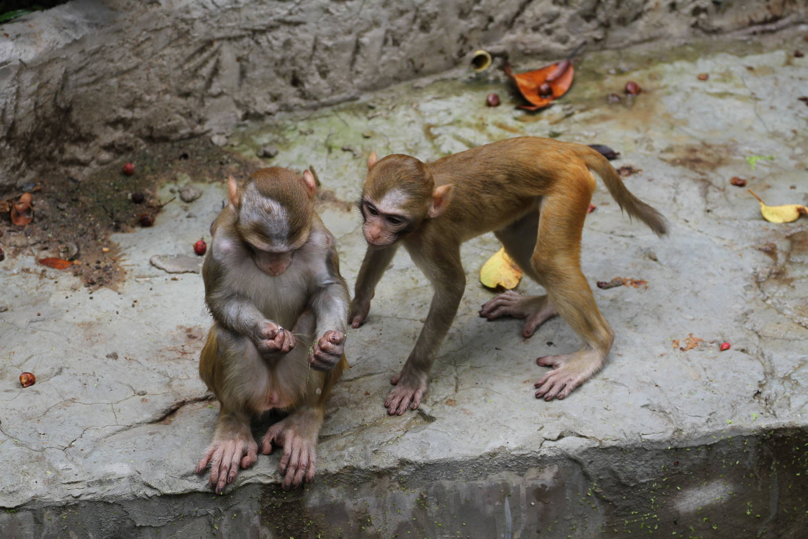 Guess which hand it's in?