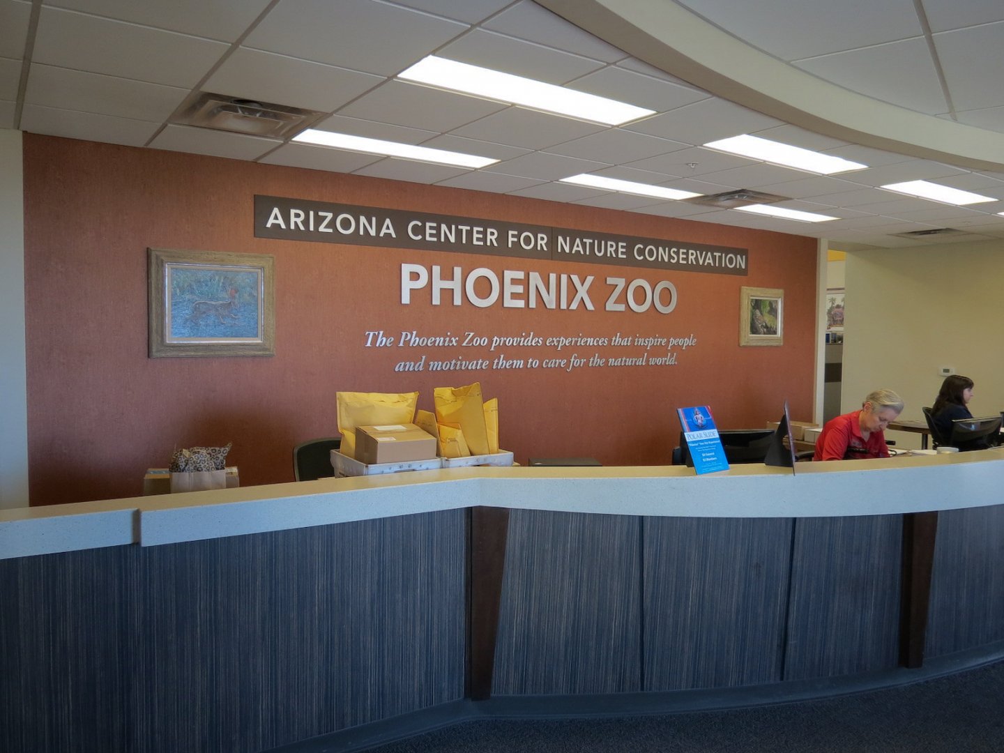 Guest Services Building - Interior Desk