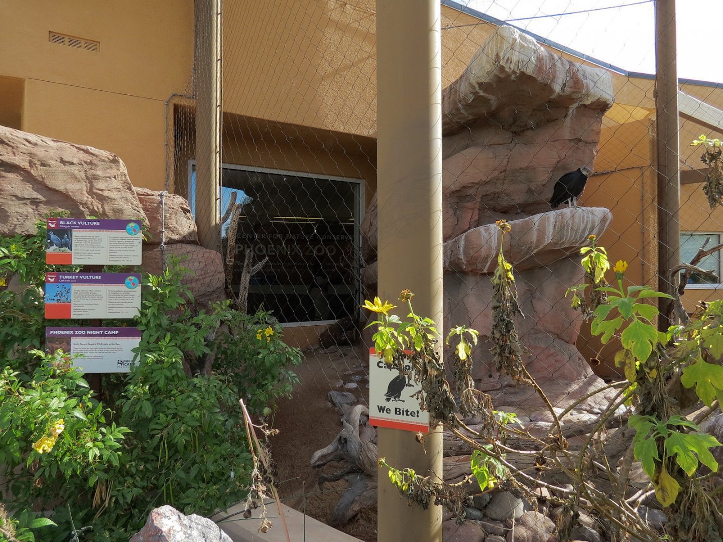 Guest Services Building - Native Species Exhibit