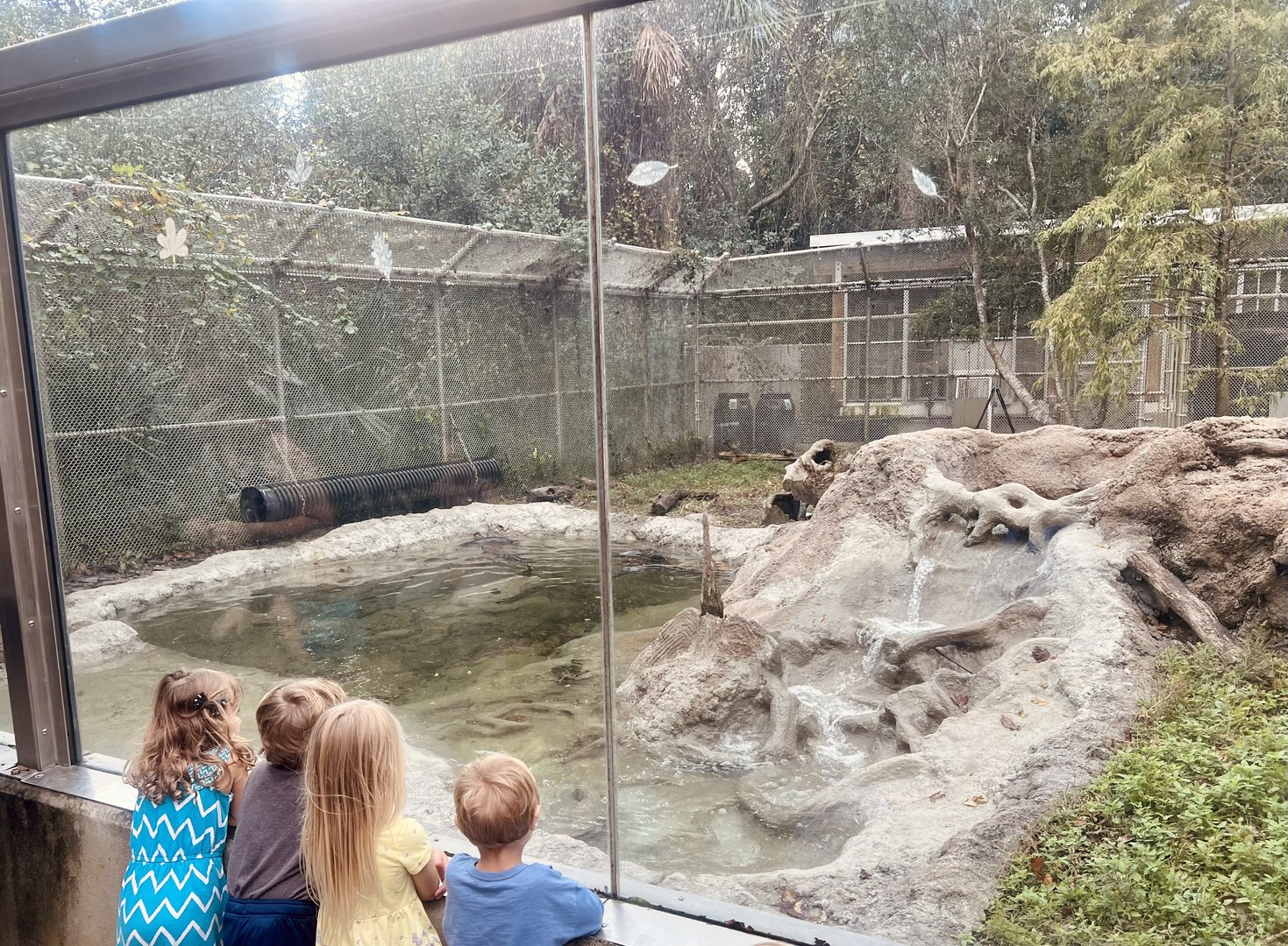 Guests observing River Otters
