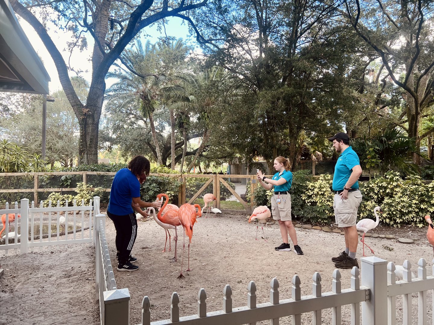 Guests participating in Flamingo Encounter