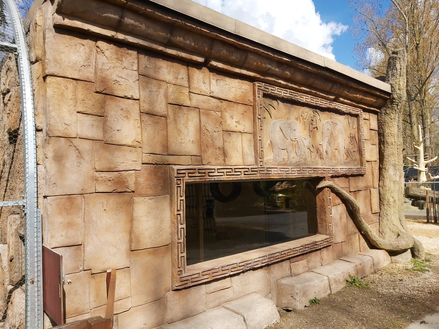Guianan brown capuchin building