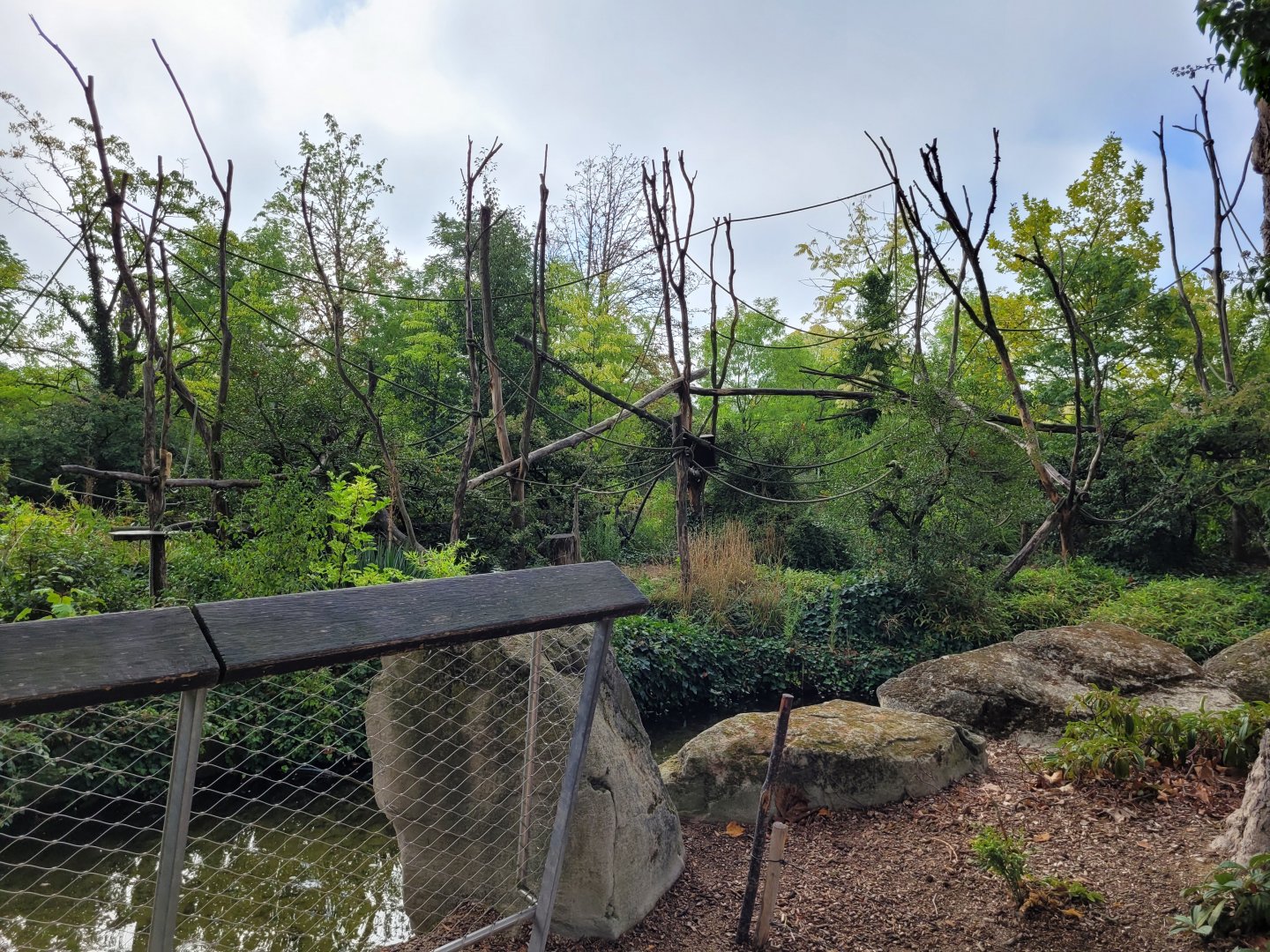 Guianan brown capuchin exhibit -Parc Zoologique de Paris (2022)