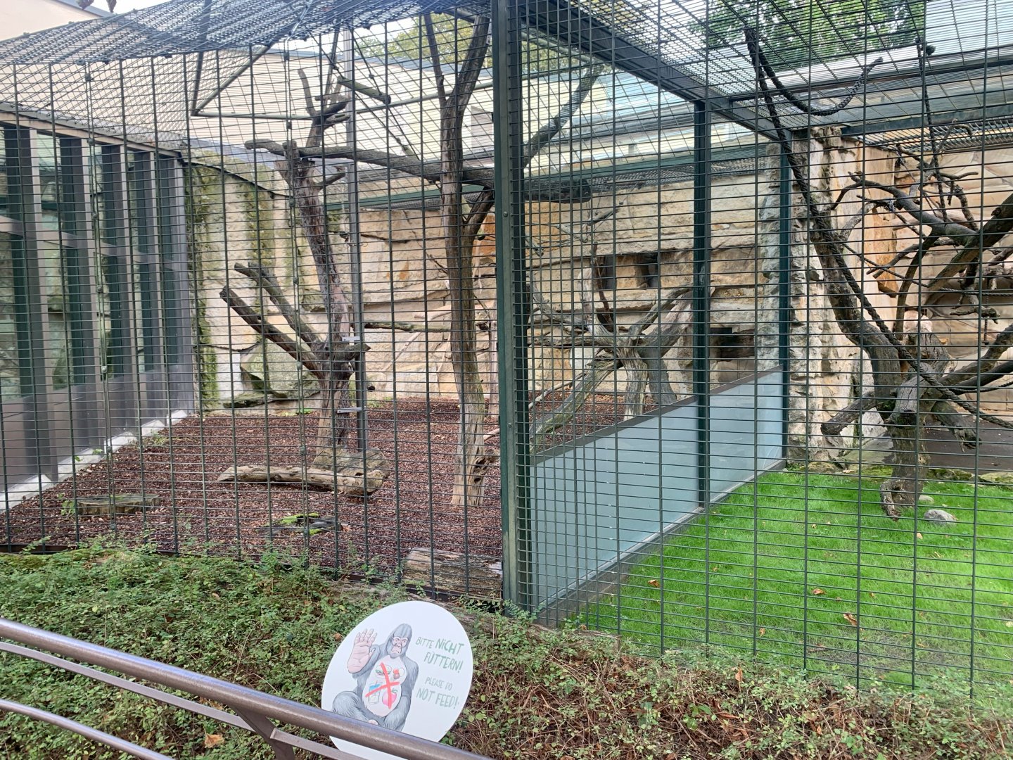 Guianan Weeper Capuchin enclosures