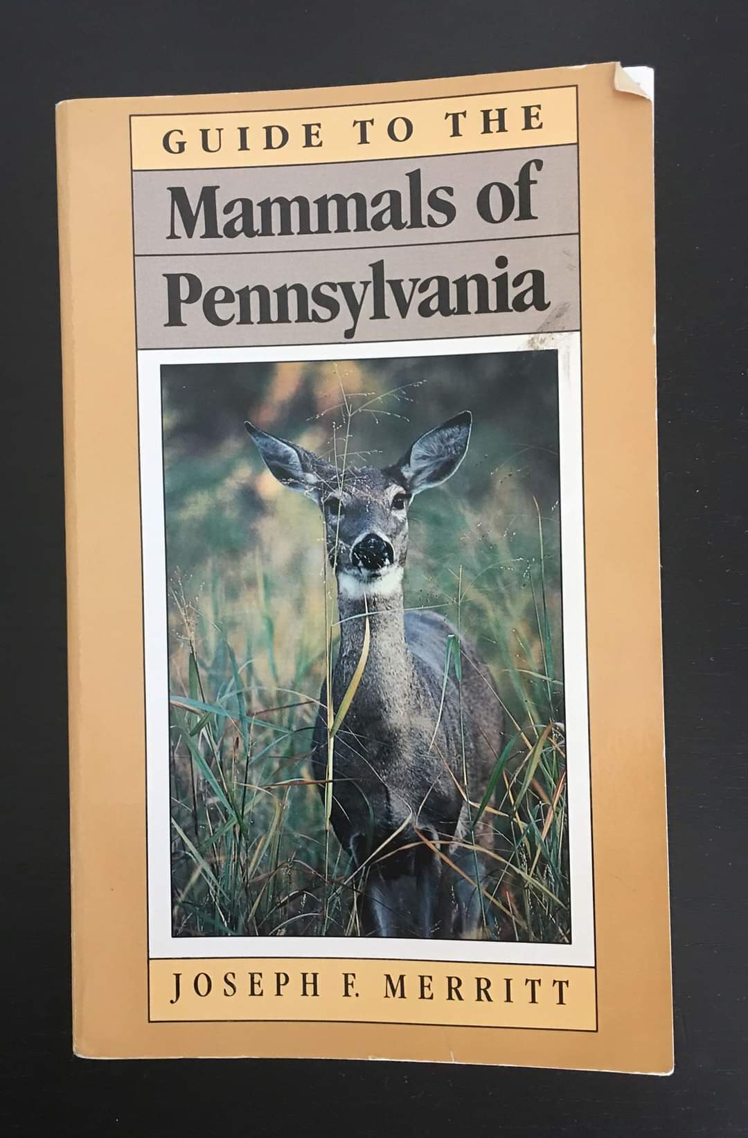 Guide to the Mammals of Pennsylvania