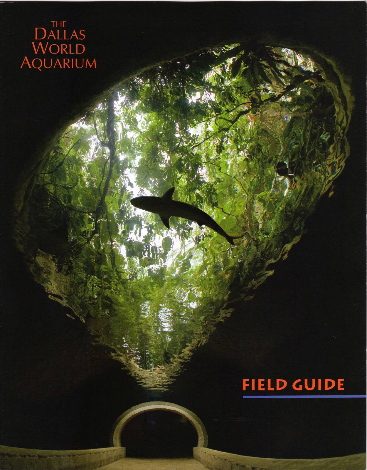 Guidebook 2008