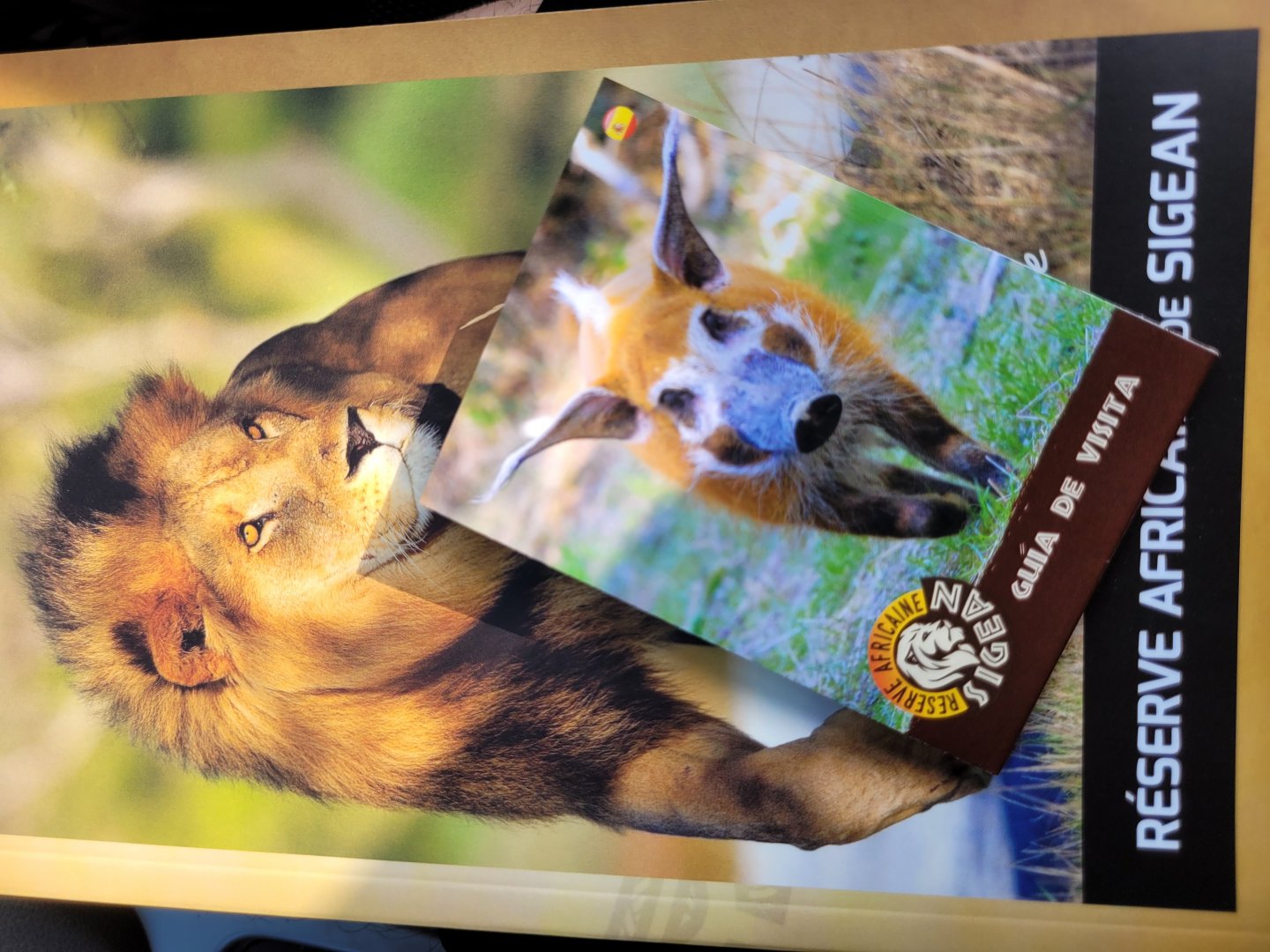 Guidebook and Map -Réserve Africaine de Sigean (2022)