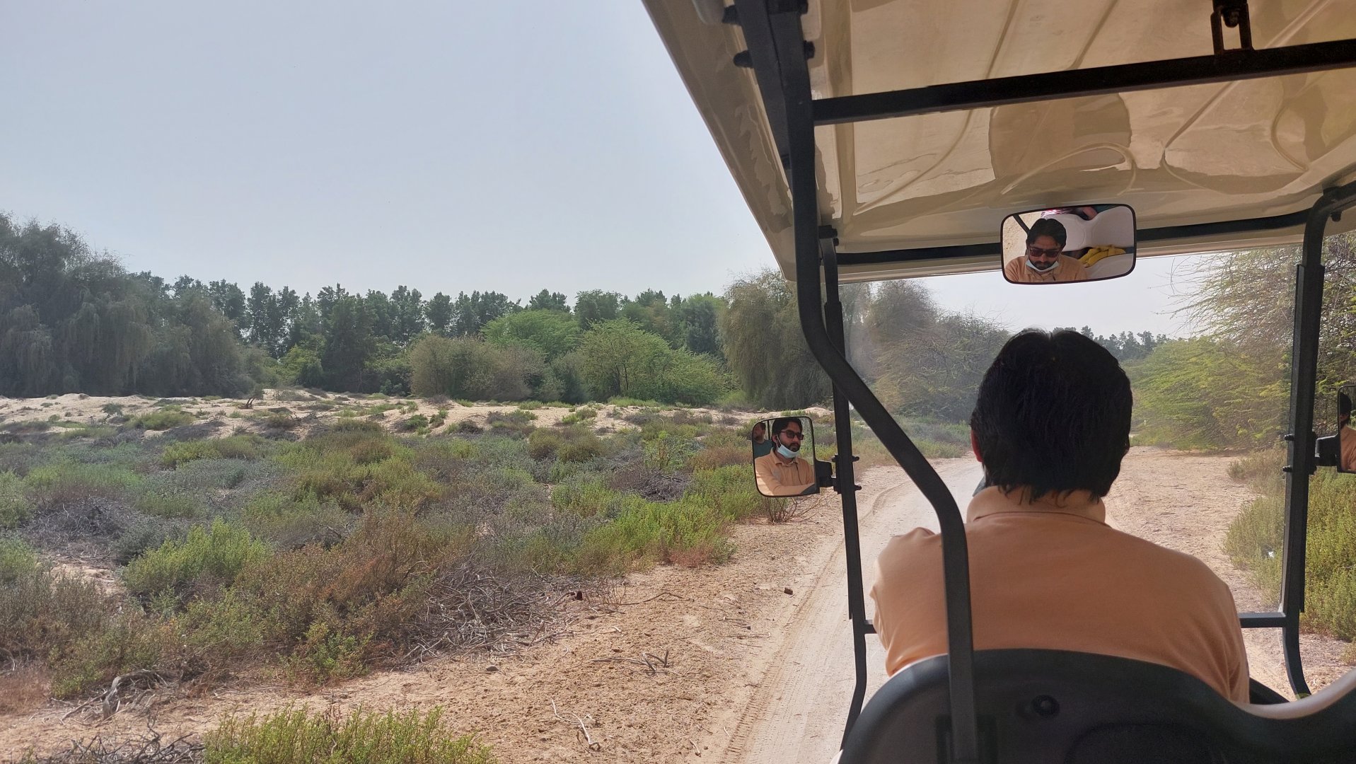 Guided tour of the nature park