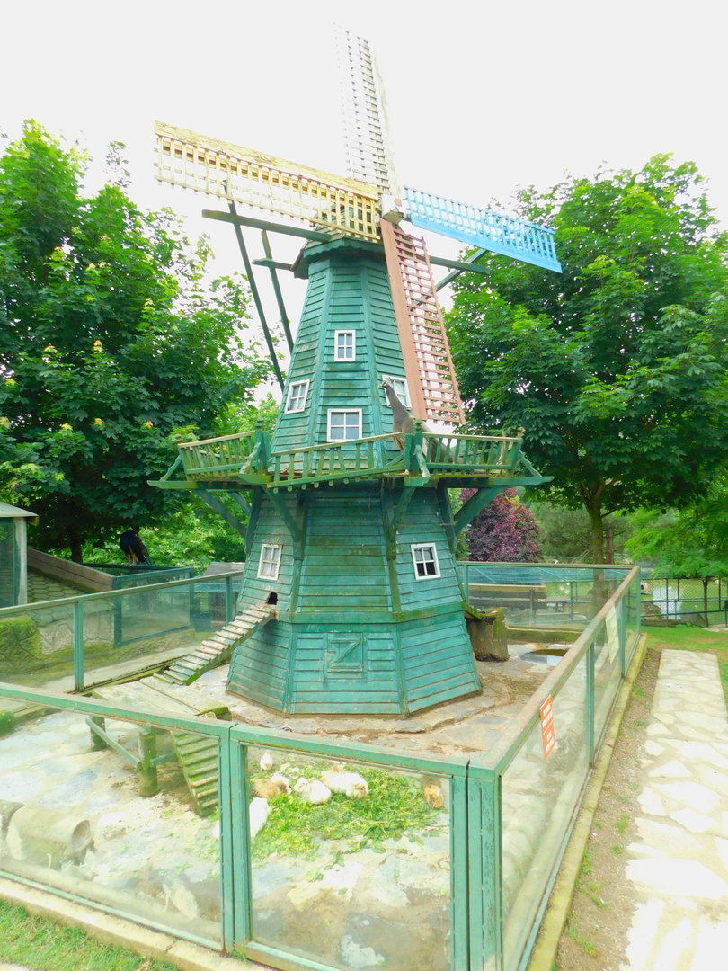 Guienea Pig Enclosure