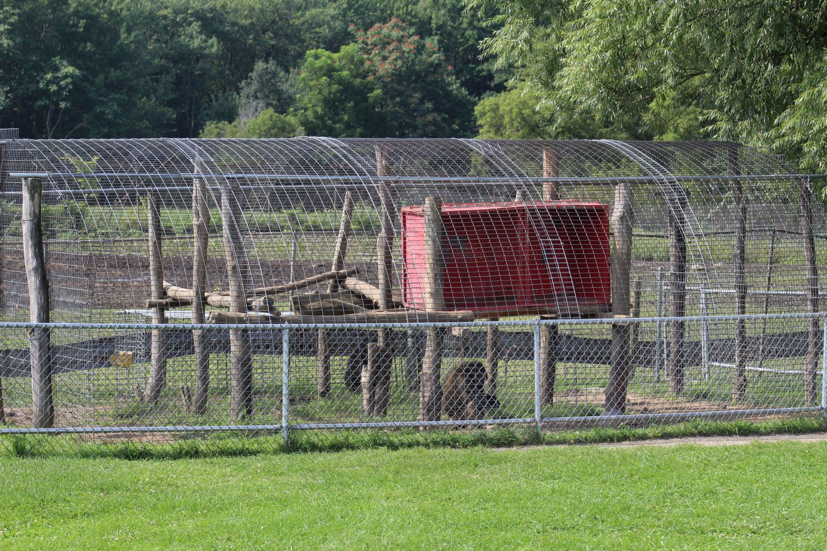 Guinea Baboon Cage