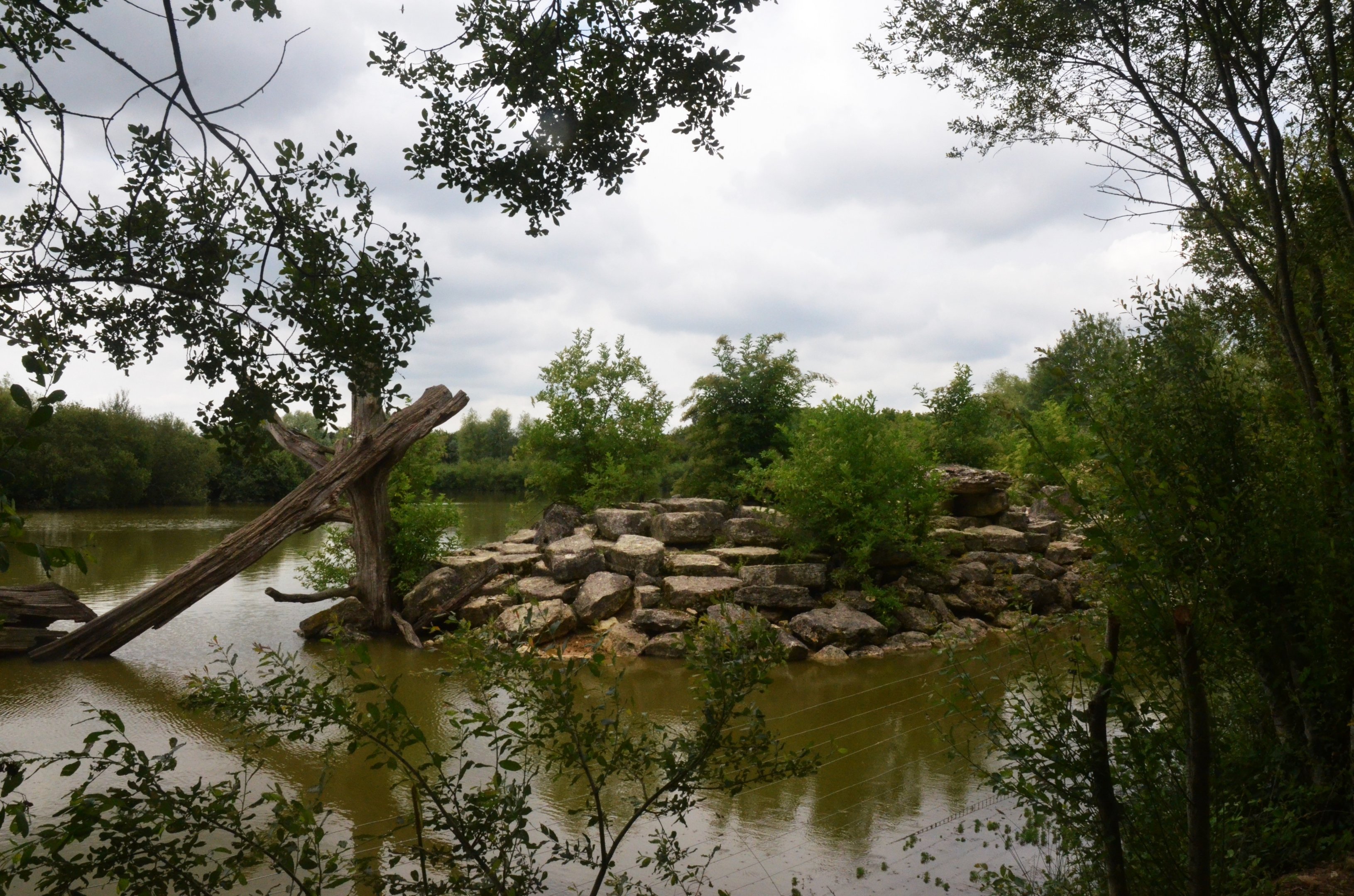 Guinea Baboon Enclosure at Haute-Touche, 14/06/18