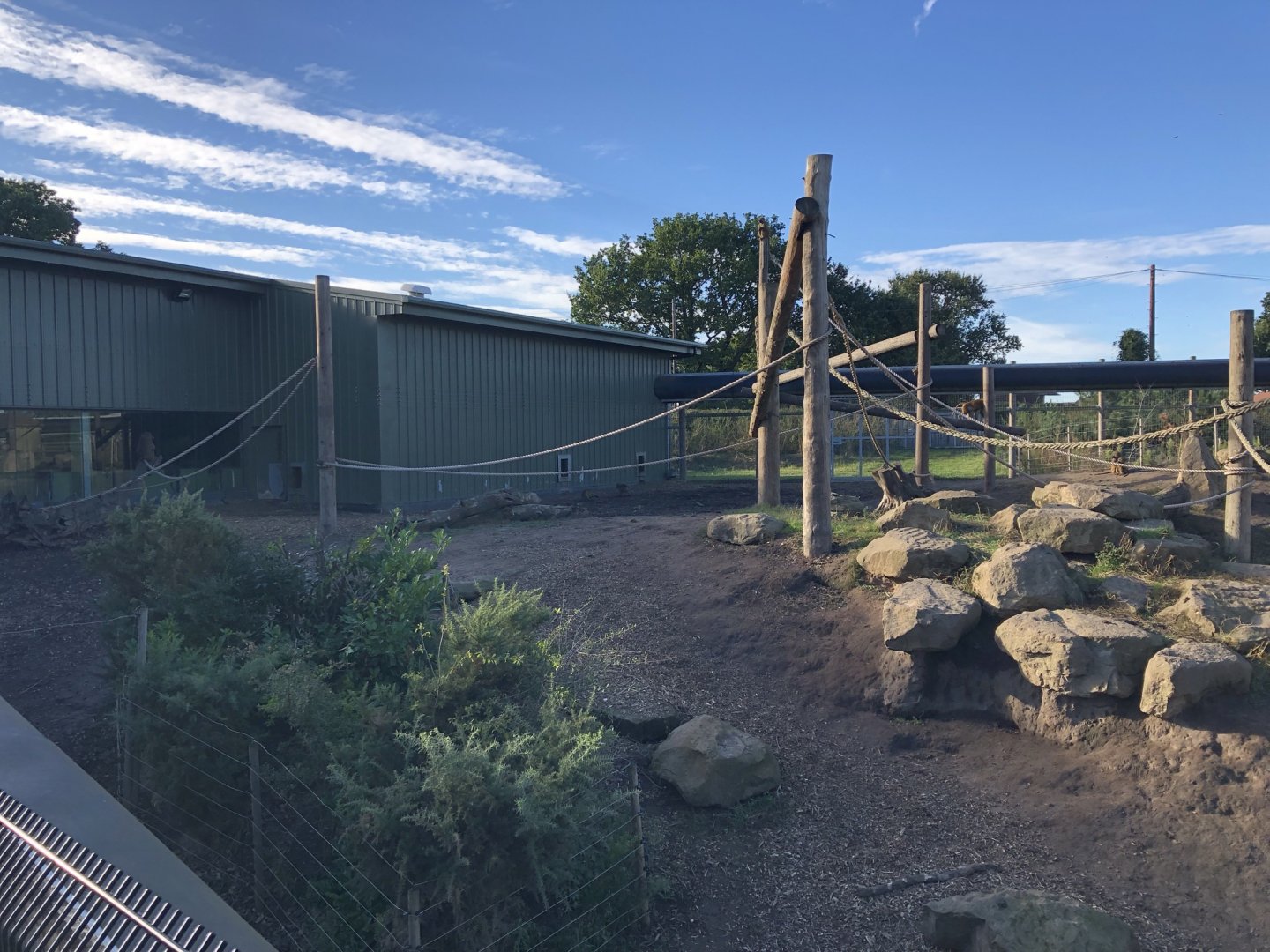 Guinea Baboon Enclosure at Yorkshire Wildlife Park (October 2021)