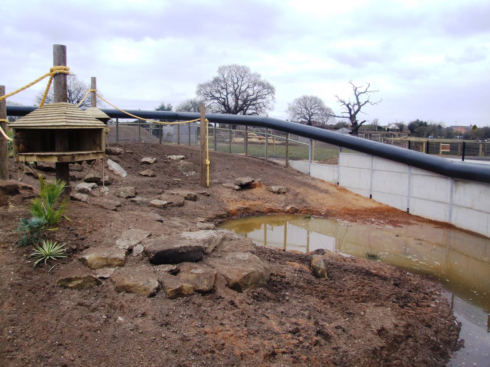 Guinea Baboon Enclosure at Yorkshire WP, 01/04/13