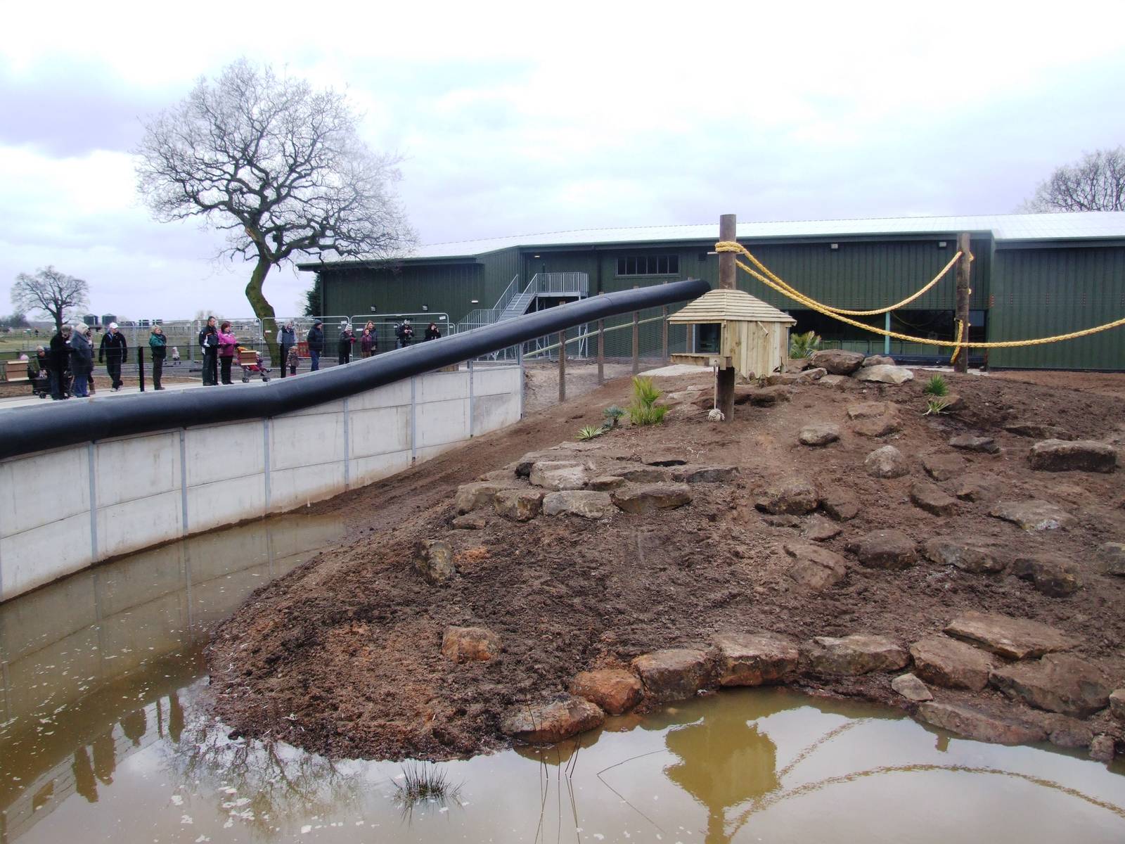 Guinea Baboon Enclosure at Yorkshire WP, 01/04/13