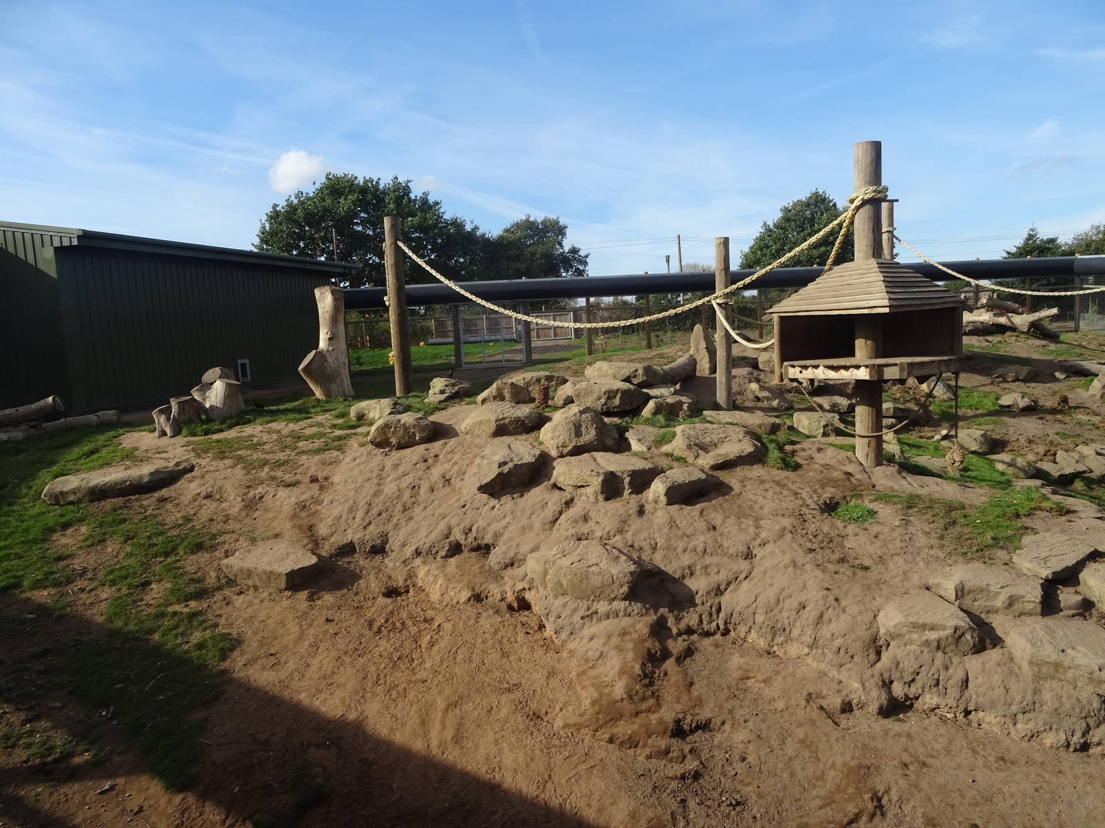 Guinea Baboon Exhibit at Yorkshire Wildlife Park