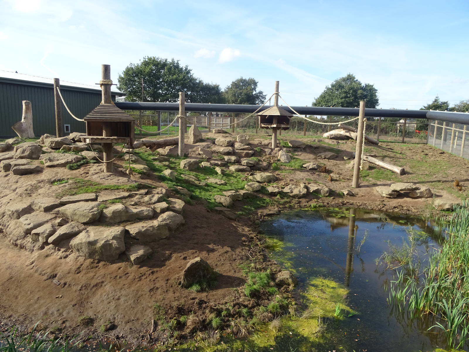 Guinea Baboon Exhibit at Yorkshire Wildlife Park