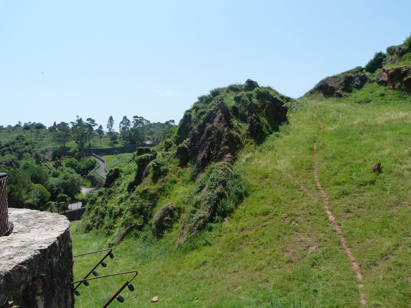 Guinea baboon exhibit -Parque de la Naturaleza de Cabárceno (2025)