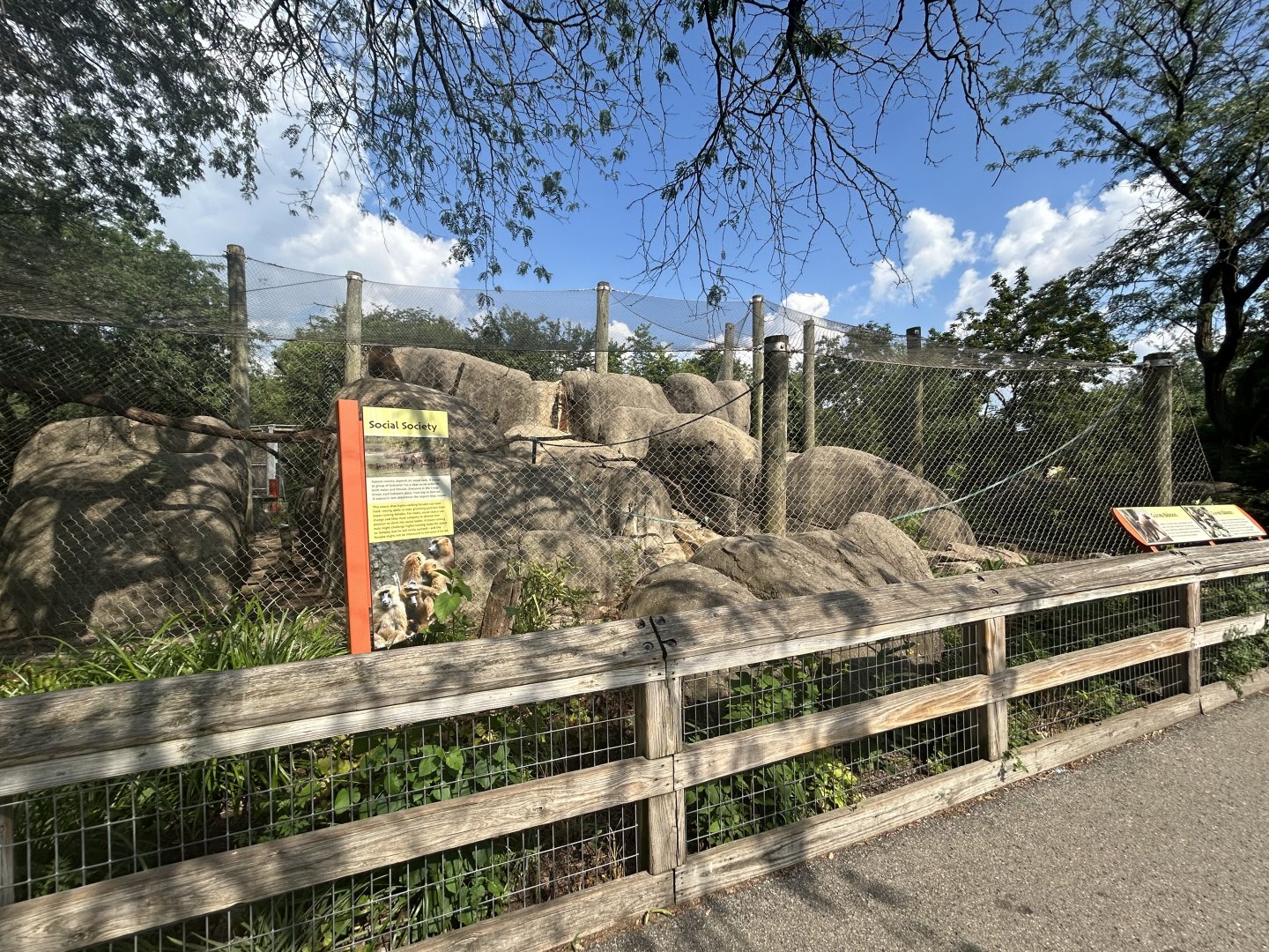 Guinea Baboon Exhibit - Plains
