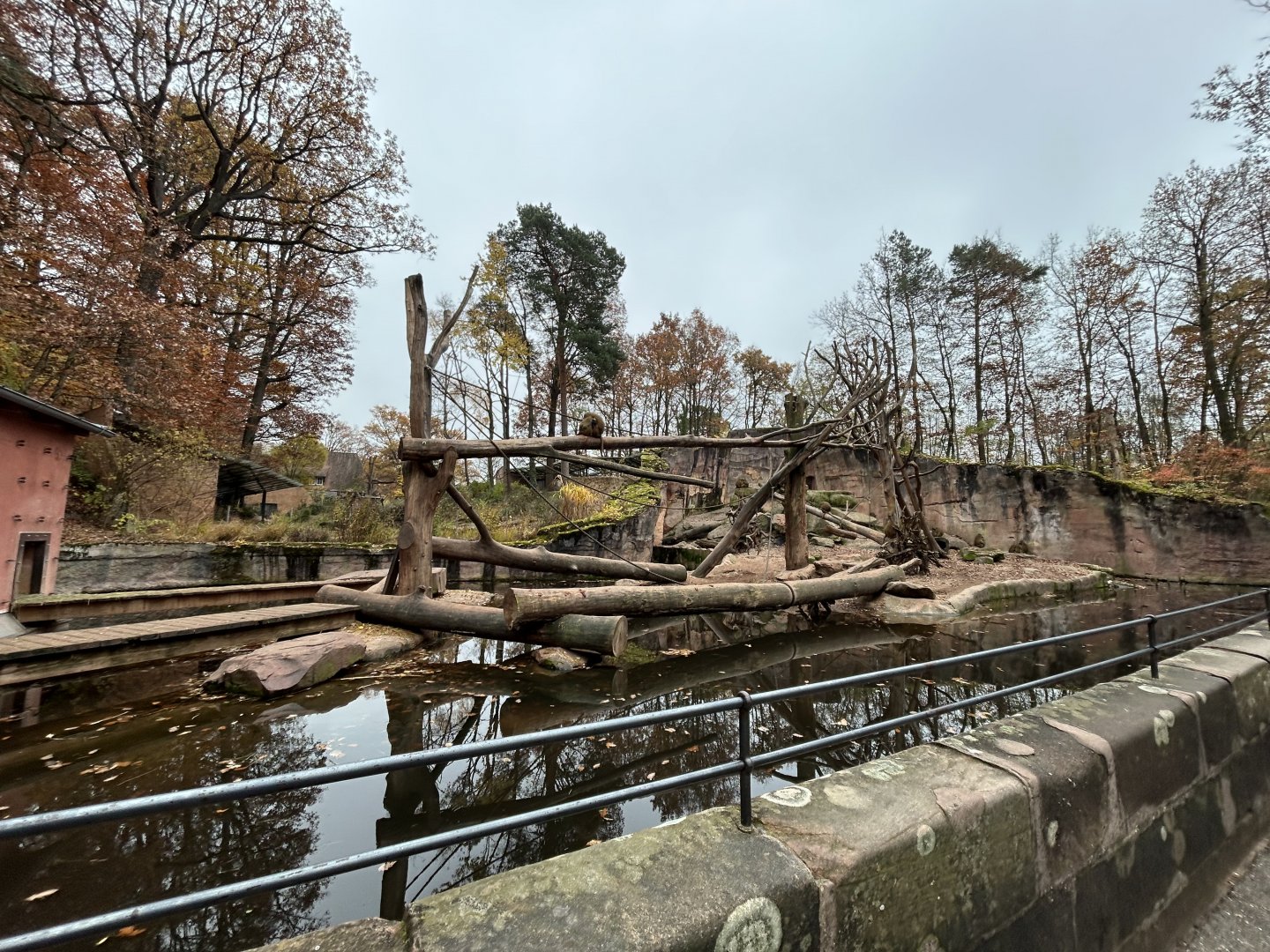 Guinea Baboon Exhibit