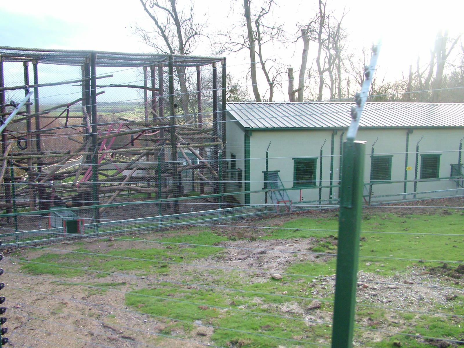 Guinea Baboon housing at Port Lympne 27/11/09