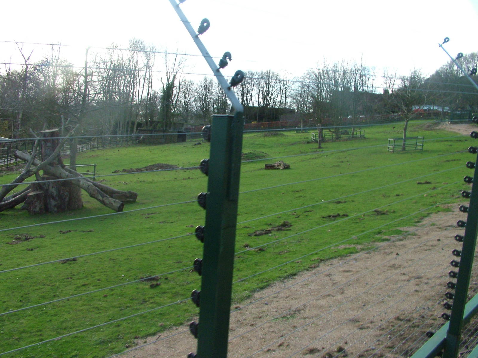 Guinea Baboon paddock at Port Lympne 27/11/09