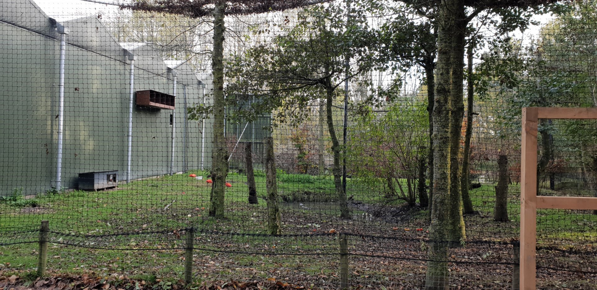 Guinea-pig and Wading bird enclosure