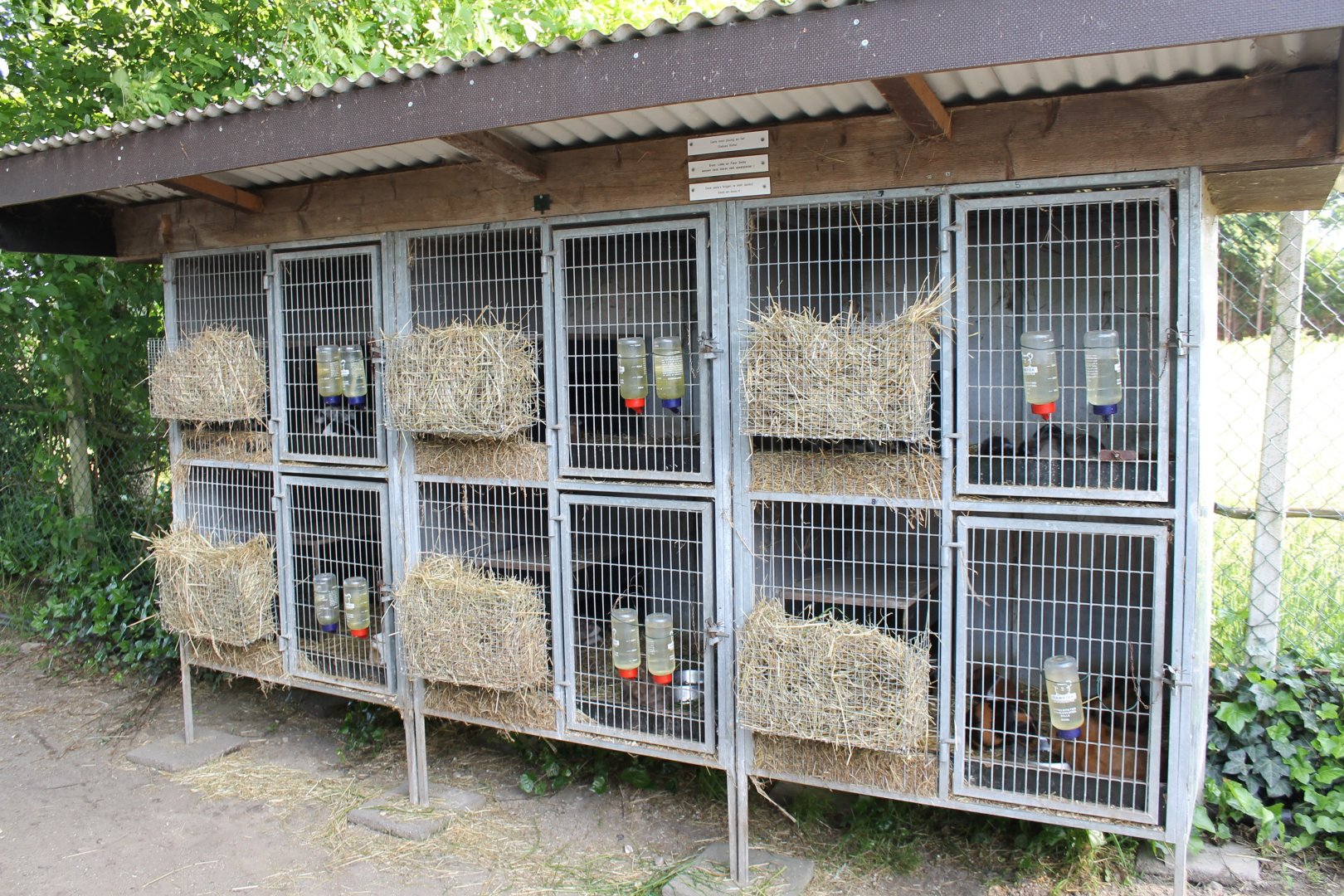 Guinea-pig cages