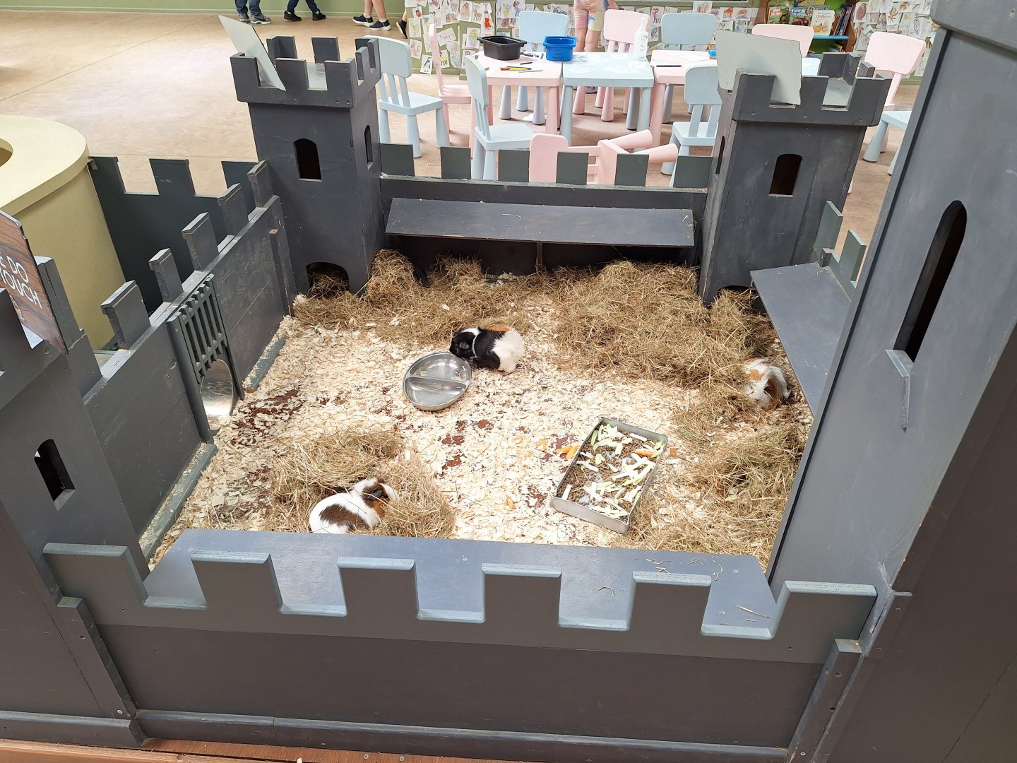 Guinea Pig Castle