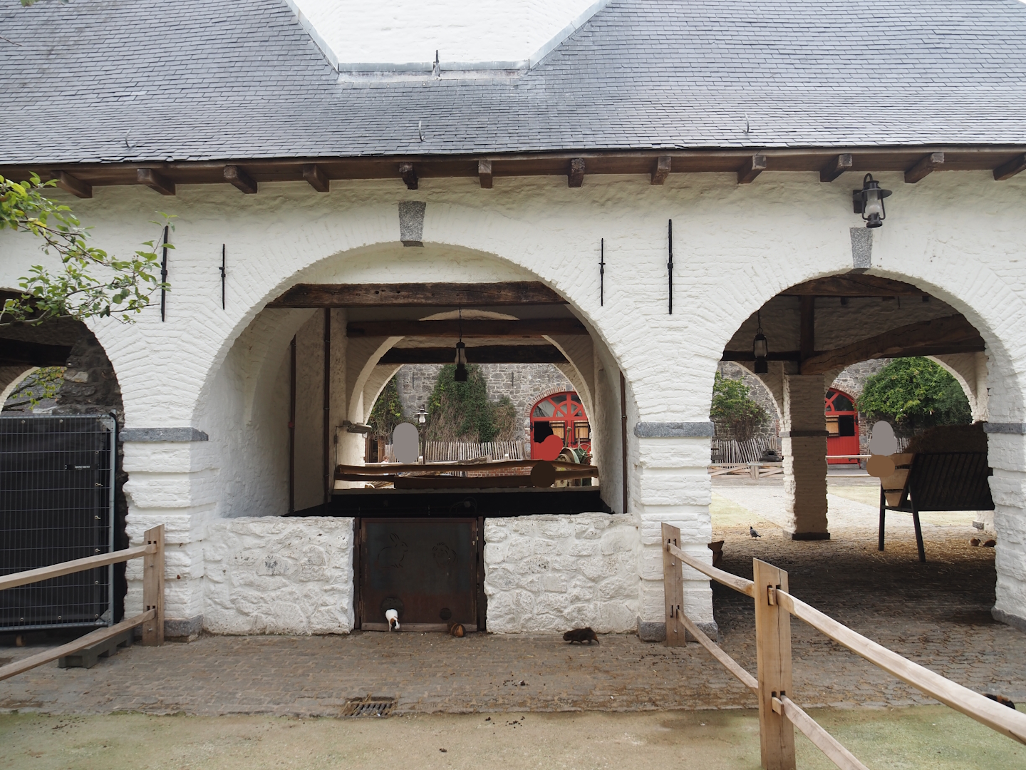 Guinea pig covered and designated area, with access to part of large farm exhibit, 2024-09-17
