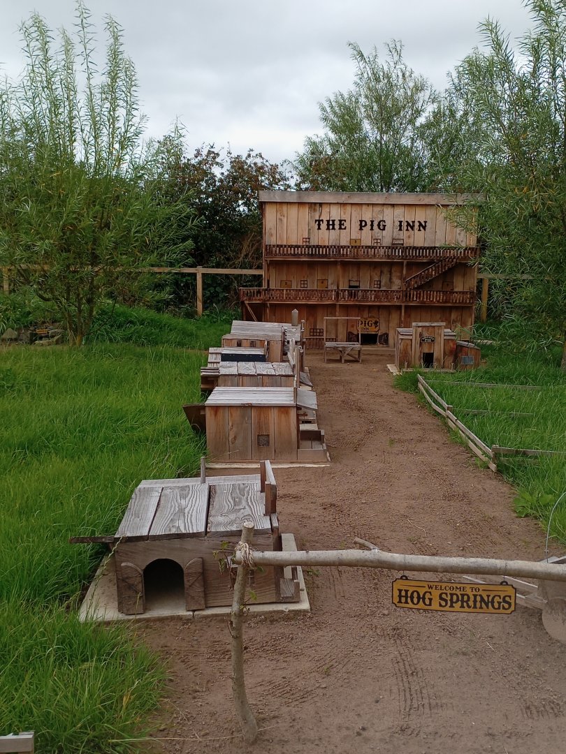 Guinea Pig enclosure 17/8/23