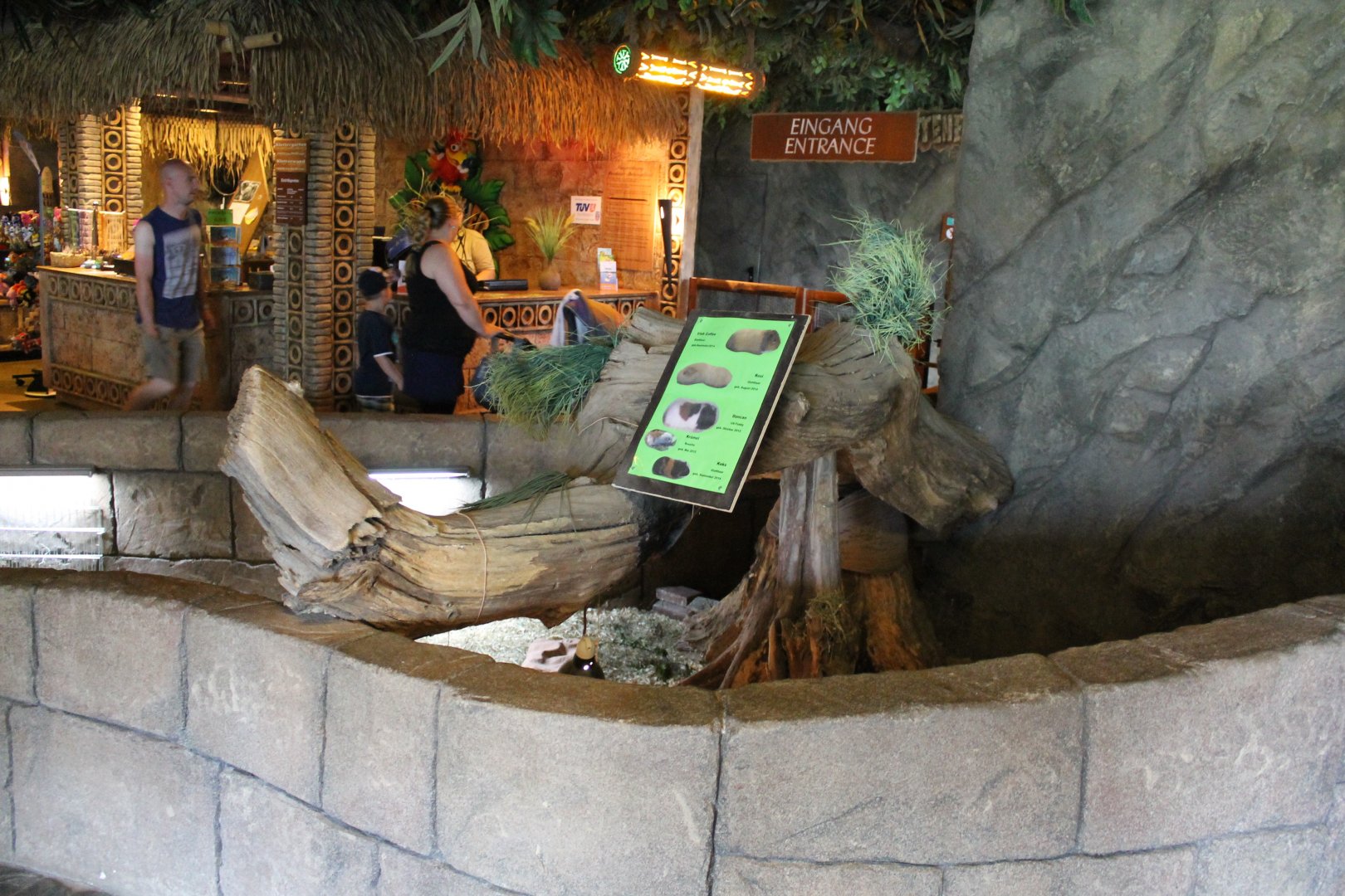 Guinea-pig enclosure and entrance