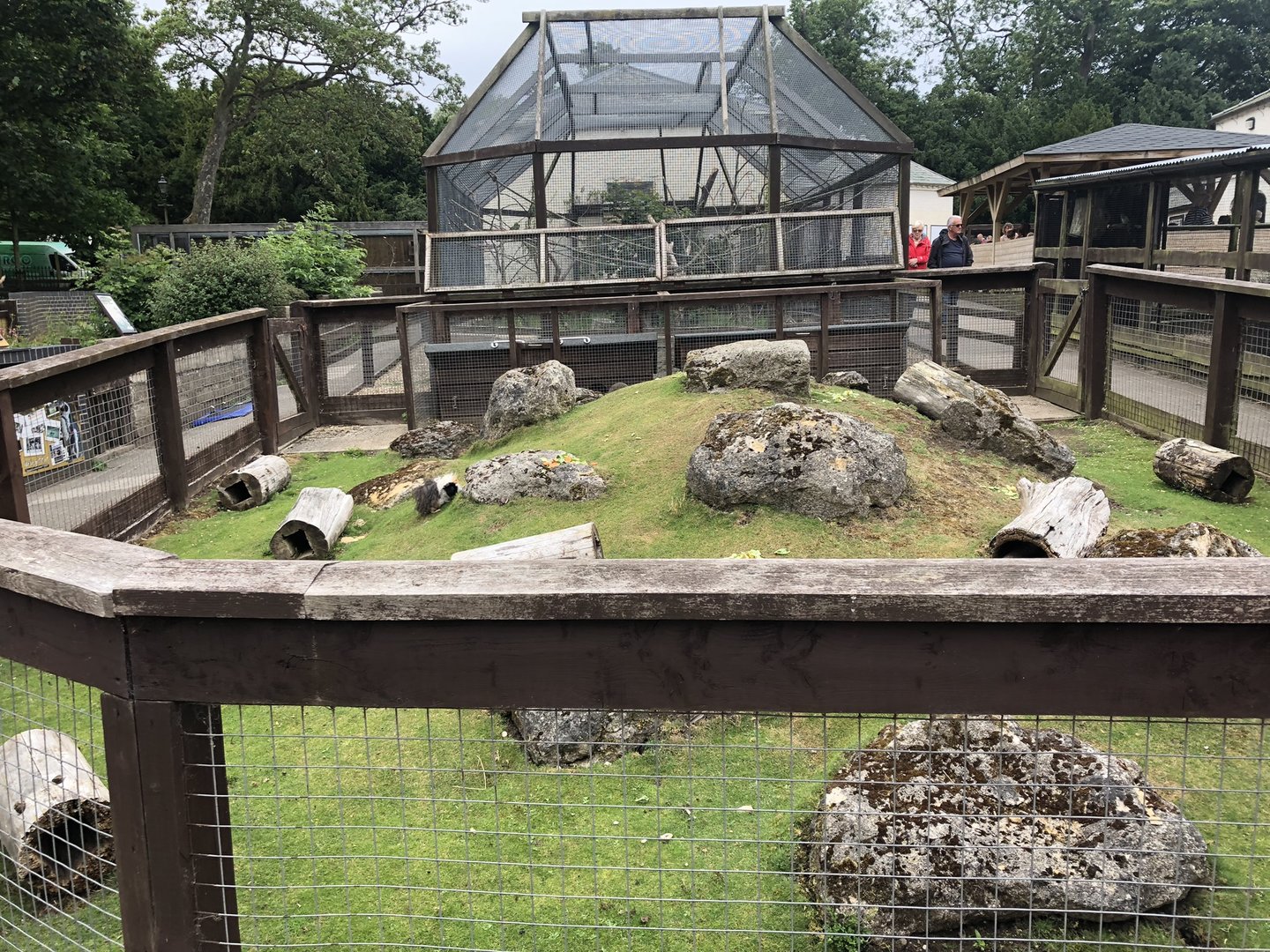 Guinea Pig Enclosure at Sewerby Zoo (June 2023)