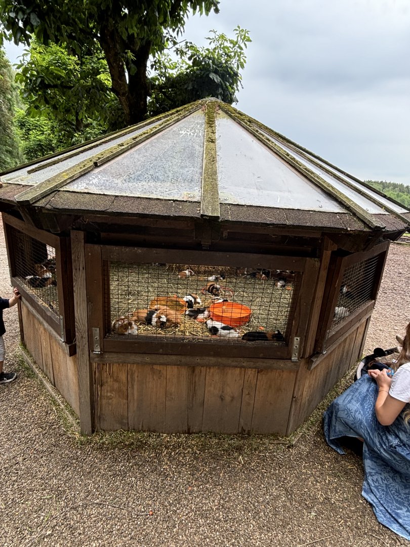 Guinea Pig Enclosure at Wildpark Poing