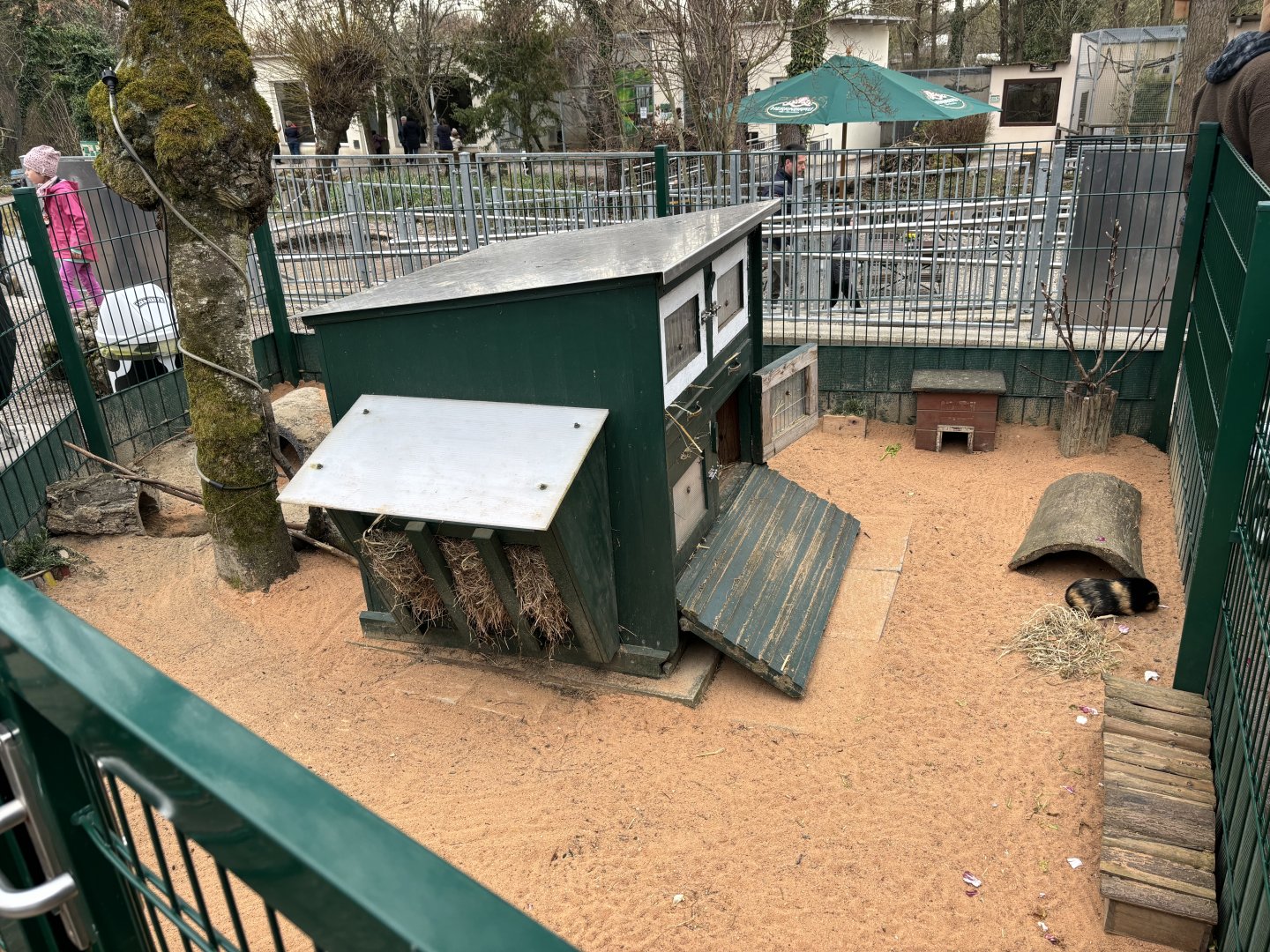 Guinea Pig Enclosure at Zoo Wassertstern (Ingolstadt)