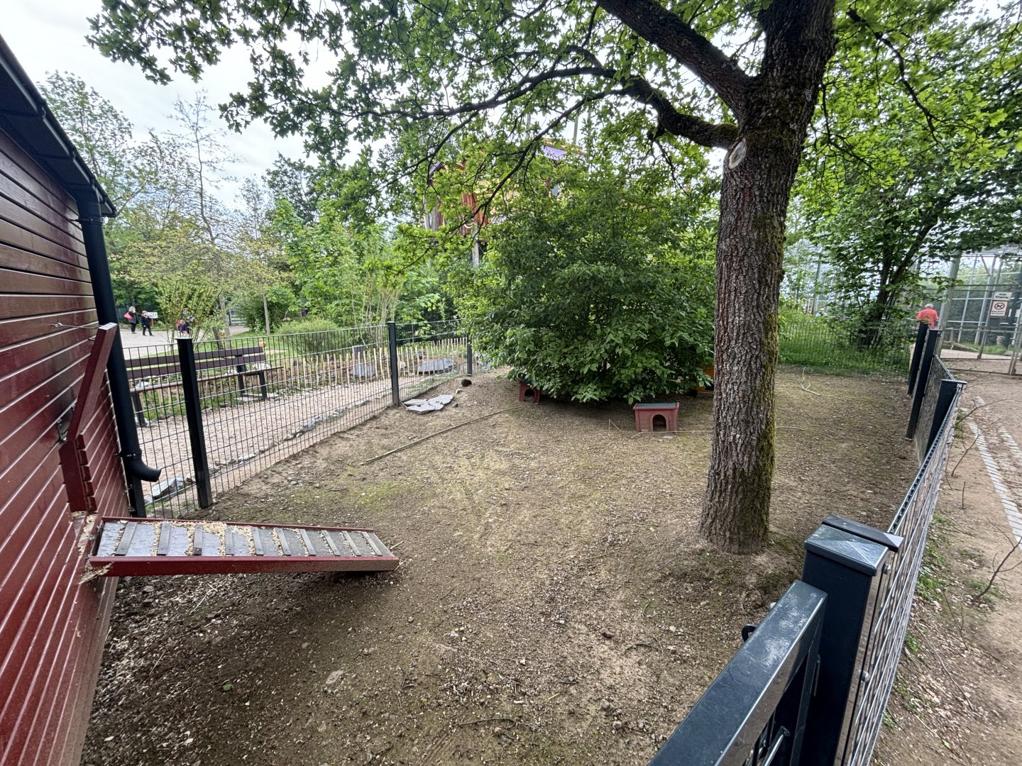 Guinea Pig Enclosure at Zoologischer Garten Hof
