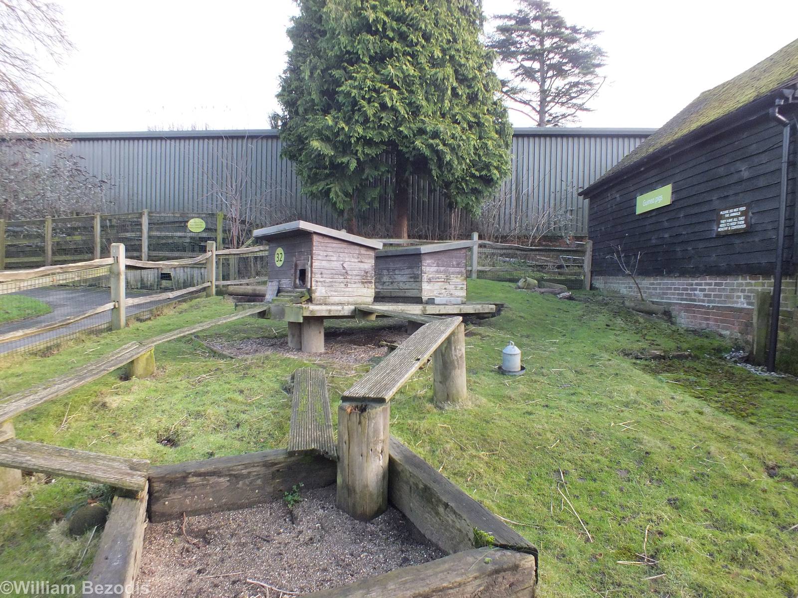 Guinea Pig Enclosure