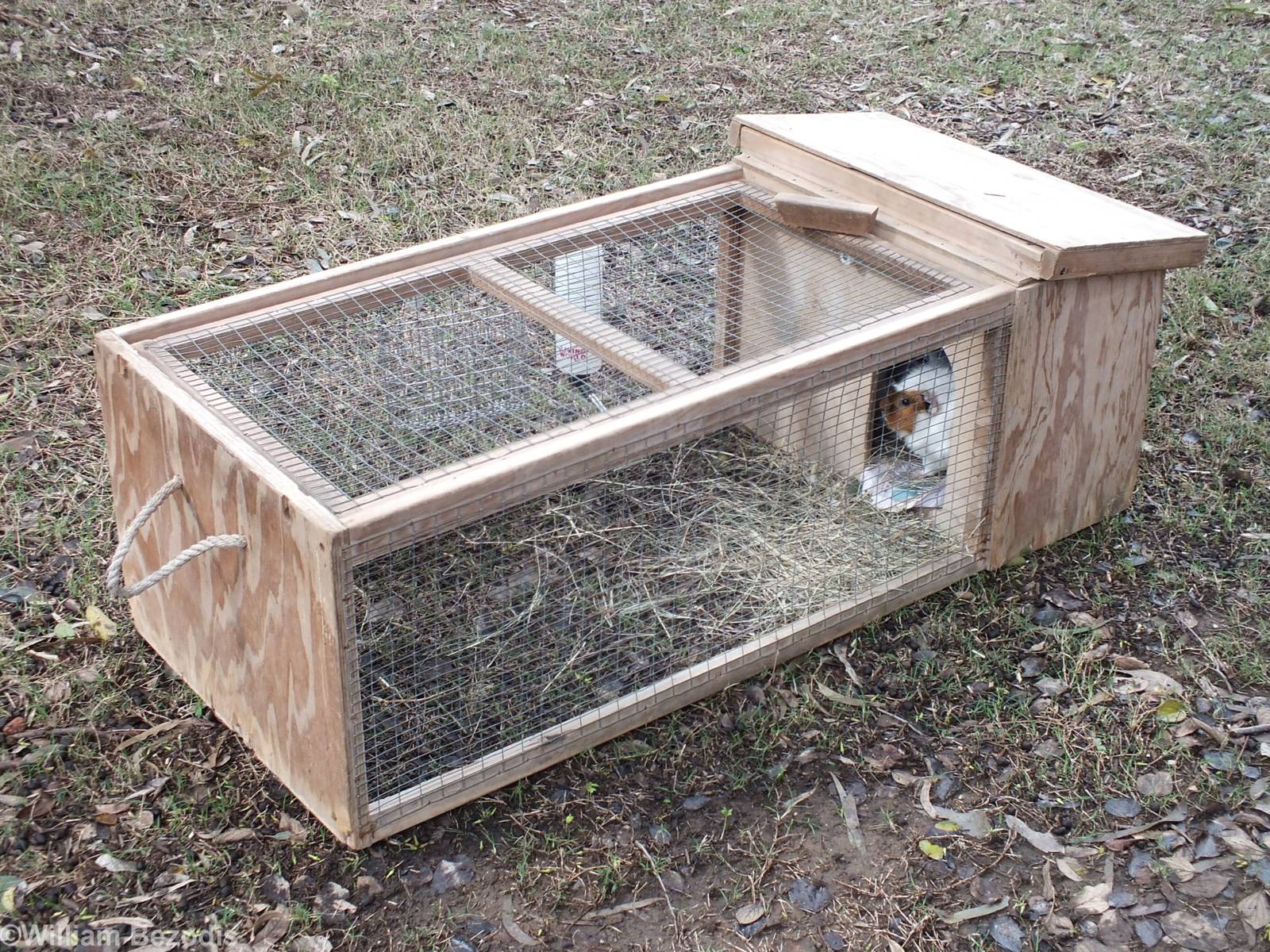 Guinea Pig Enclosure