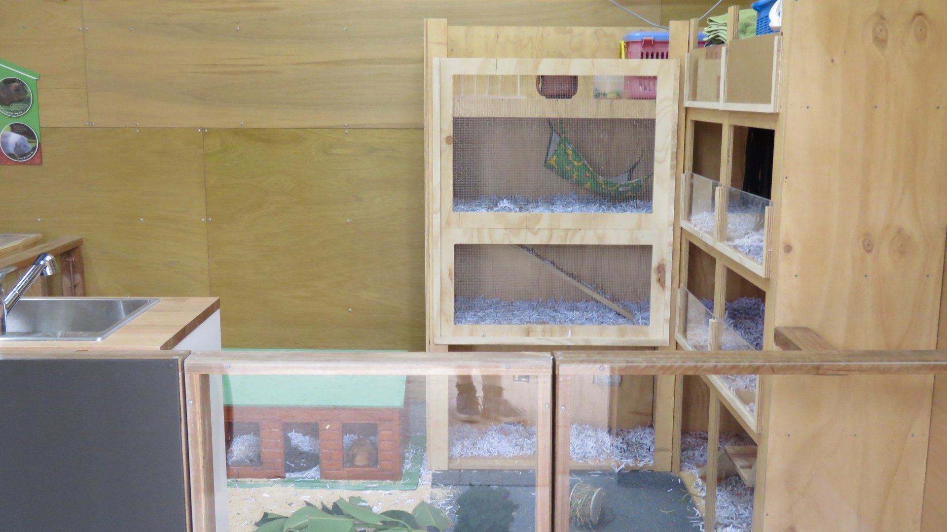 Guinea Pig Enclosure