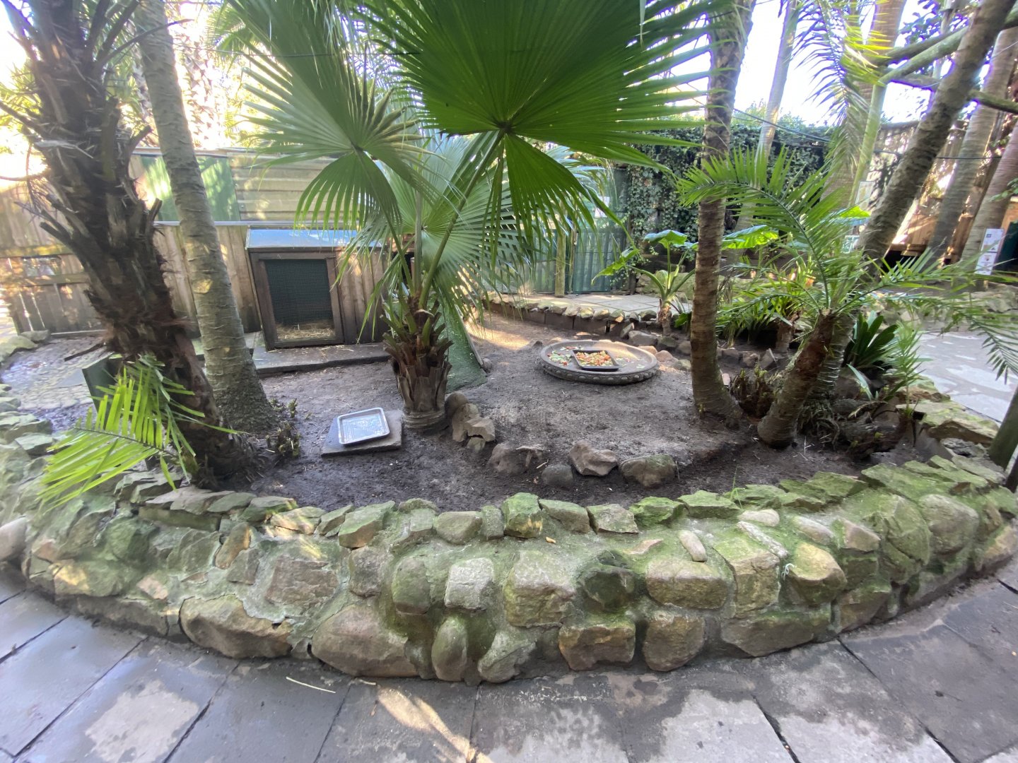 Guinea pig enclosure