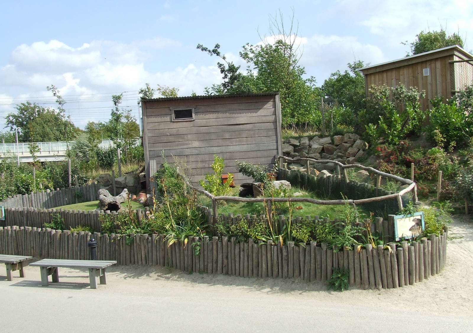 Guinea Pig enclosures