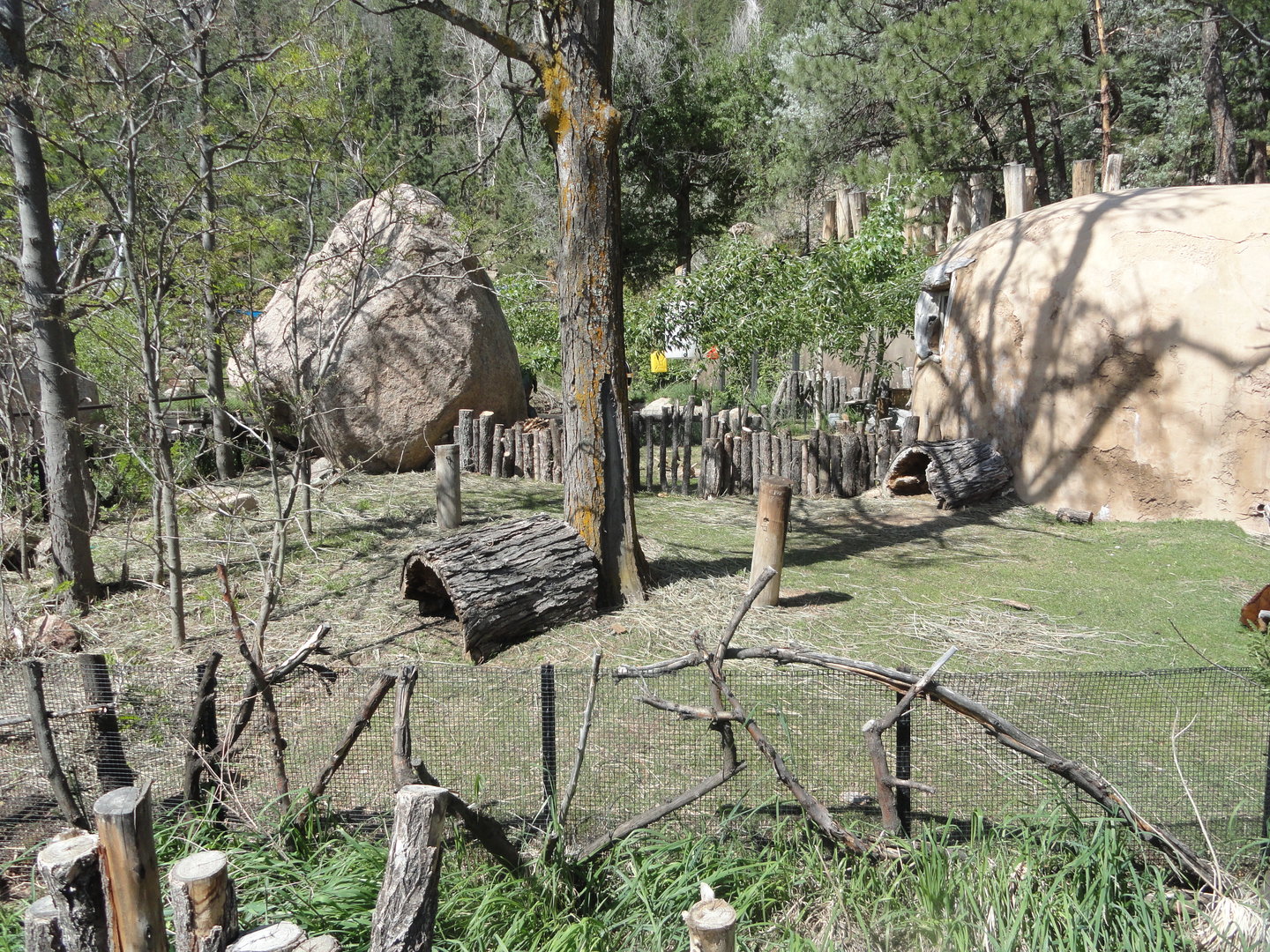 Guinea Pig Exhibit 1