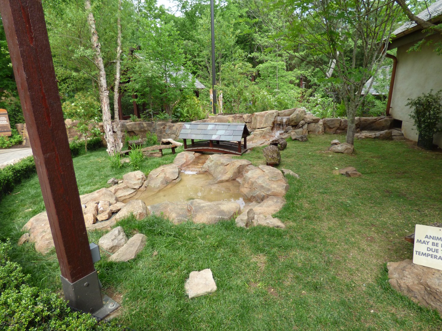 Guinea Pig Exhibit (Expedition Peru) - May 2018