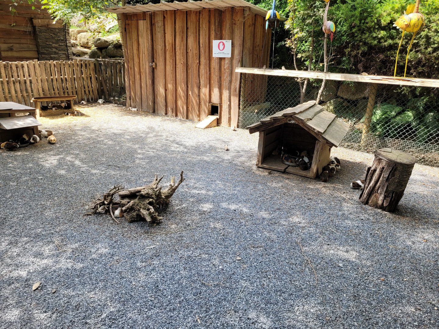 Guinea pig exhibit -Parc Animalier des Pyrénées (2023)