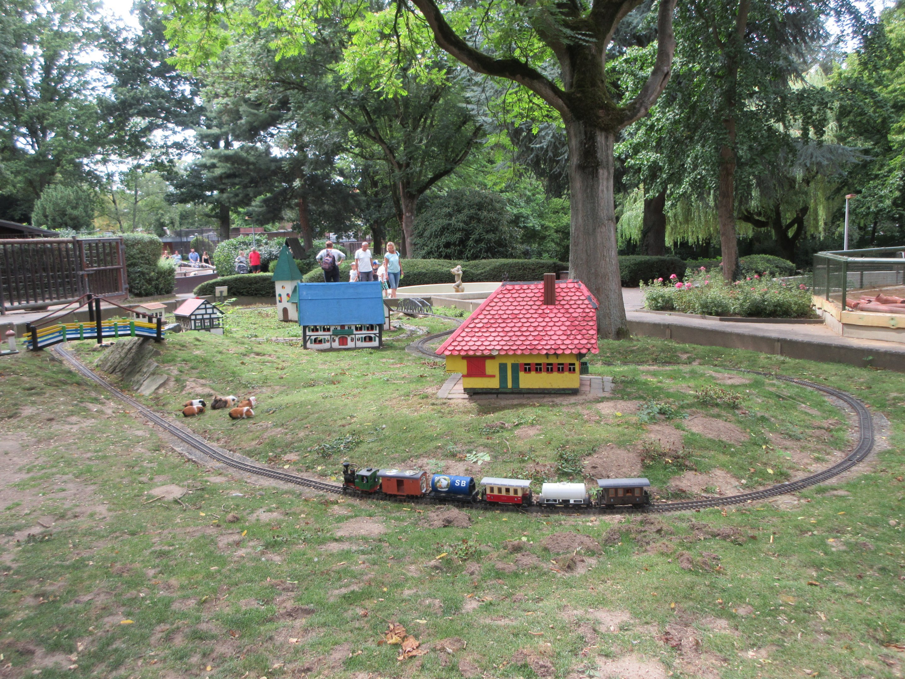 Guinea Pig Exhibit (with a moving train!)