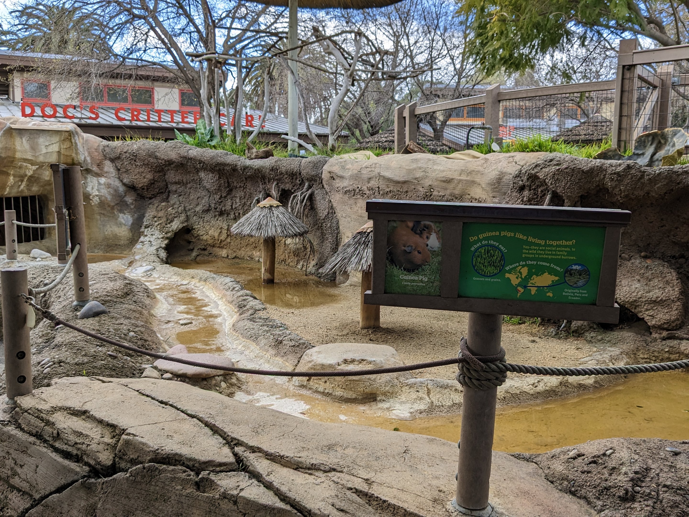 Guinea pig habitat (flooded)