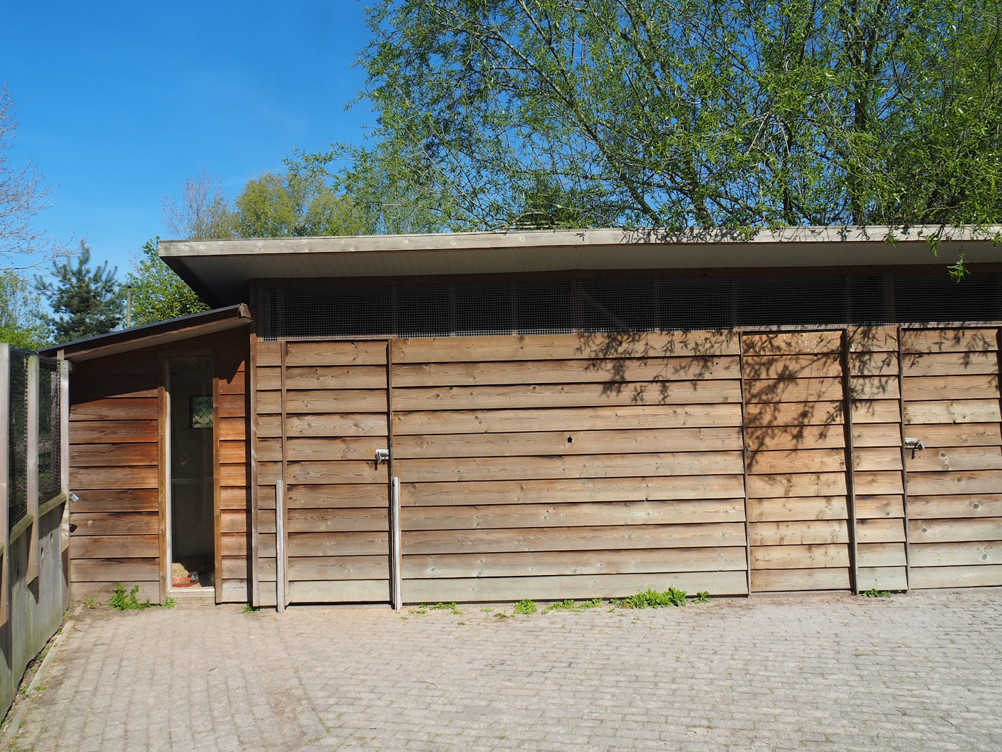 Guinea pig, ibex and chicken barn,2023-04-30