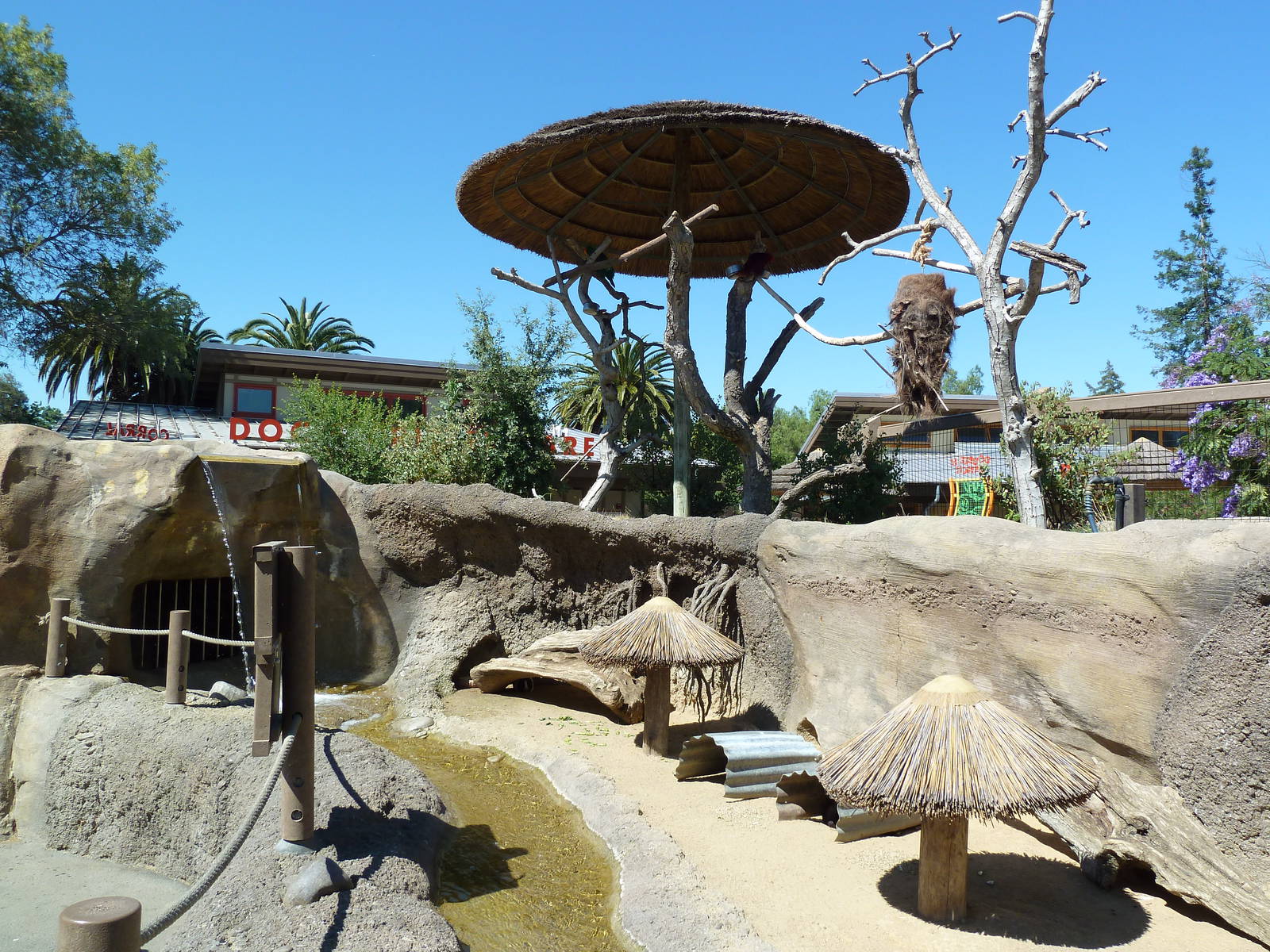 Guinea Pig + Macaw Exhibits