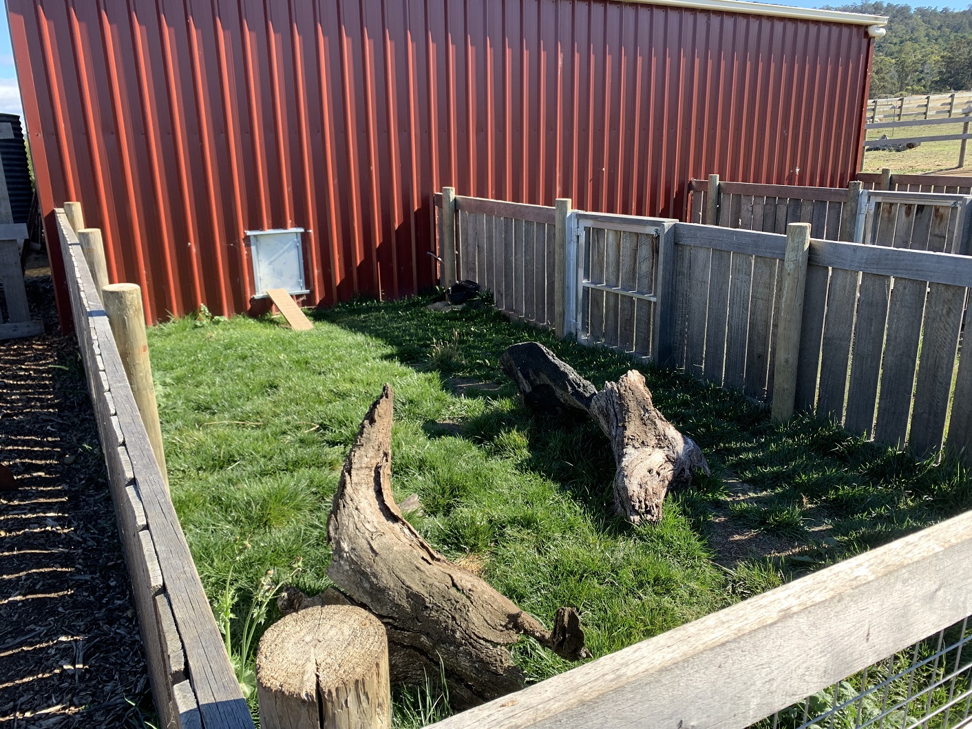 Guinea Pig/Rabbit Yard